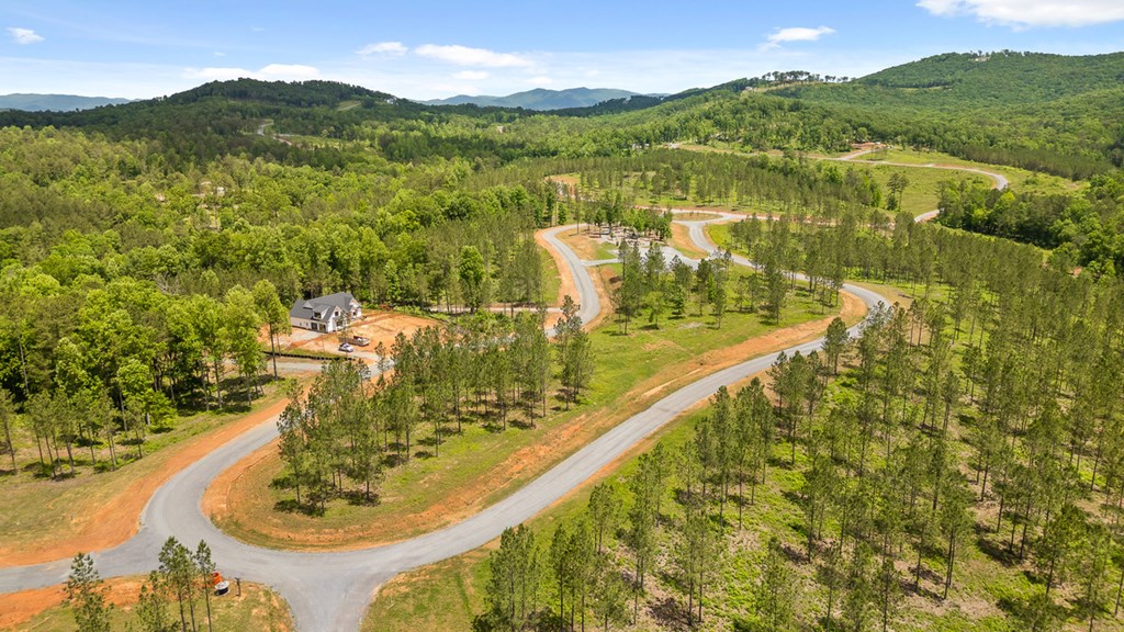 Lot 414 Calloway Mountain Road Talking Rock, GA 30175 - Photo 21 of 25