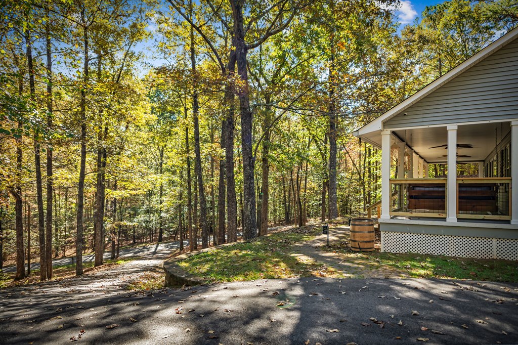 224 Timber Ridge Lane Ellijay, GA 30540 - Photo 55 of 61 View of the long and beautiful paved driveway