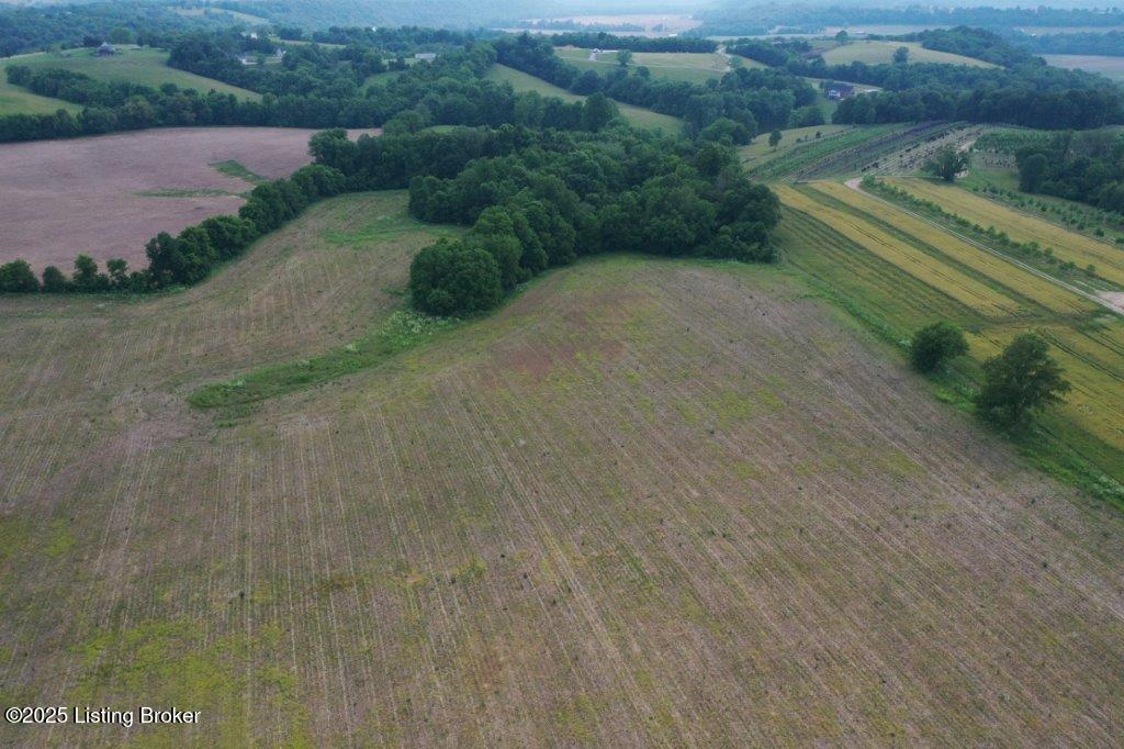 10001 Bloomfield Road Springfield, KY 40069 - Photo 10 of 19 DJI_0309