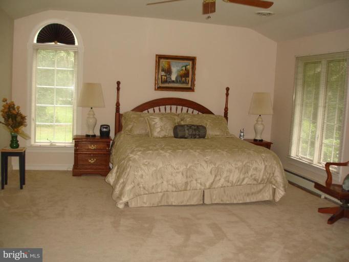 10 Ridge Road Severna Park, MD 21146 - Photo 14 of 23 Master w/walk-in closet, sitting area & great bath