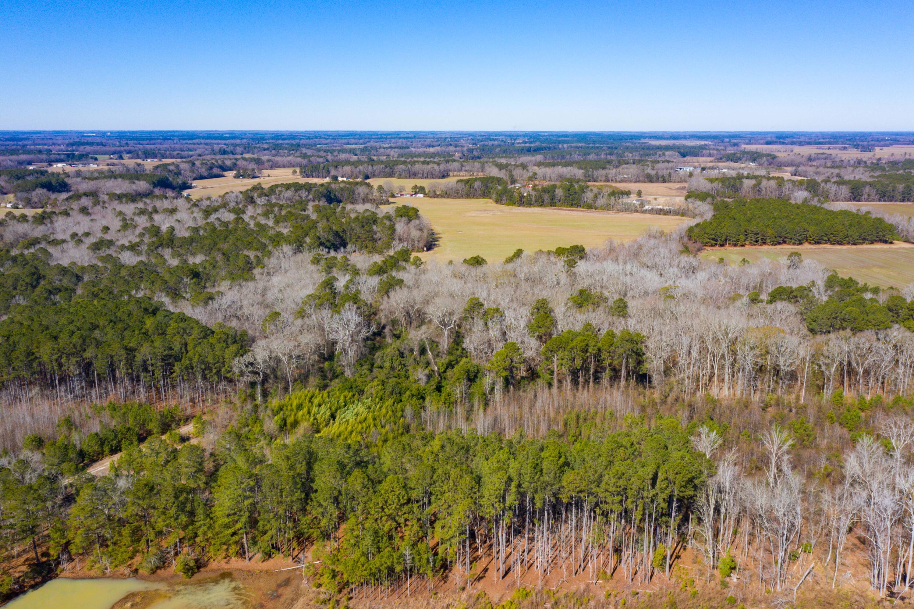 0 Altvater Road Elloree, SC 29047 - Photo 7 of 13 DJI_0018
