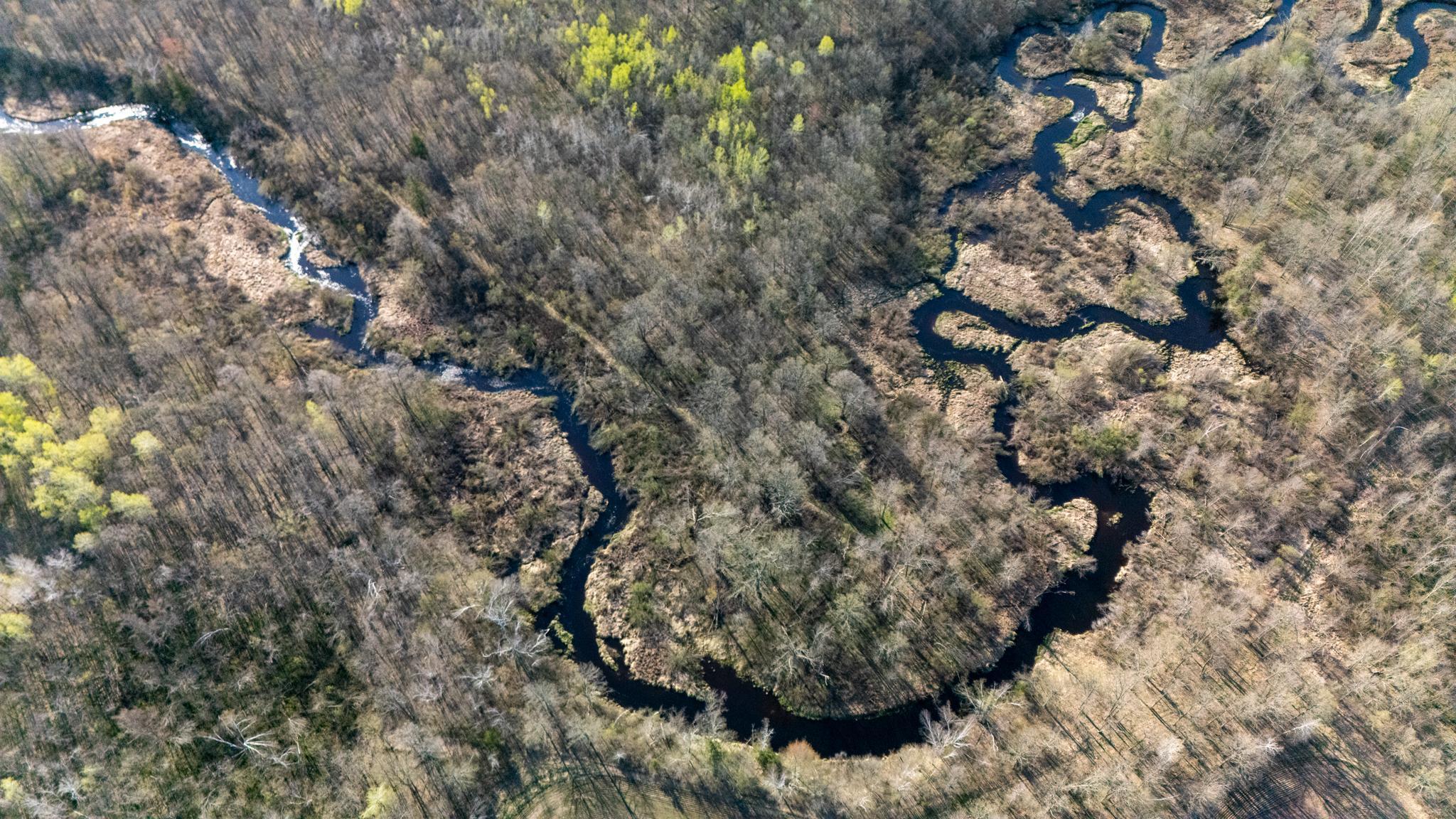 0 Crooked Lake Road Sandstone, MN 55072 - Photo 12 of 17