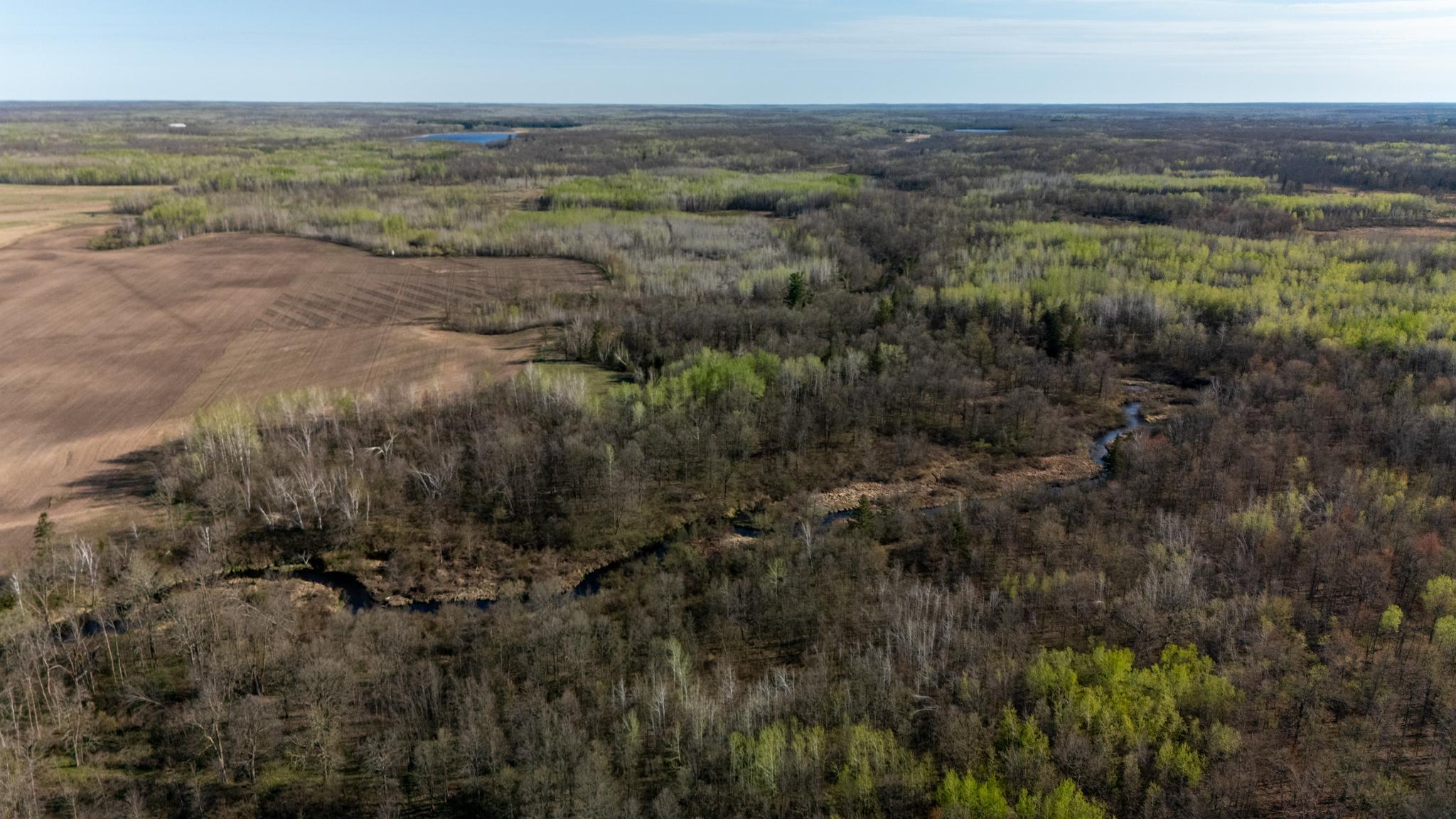0 Crooked Lake Road Sandstone, MN 55072 - Photo 9 of 17