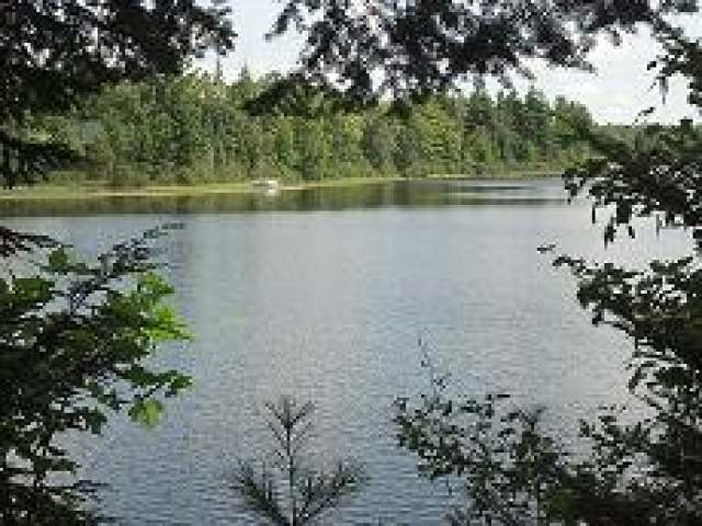 Lot 3 Musky Point Road Mercer, WI 54547 - Photo 1 of 7 Gallery Image 1