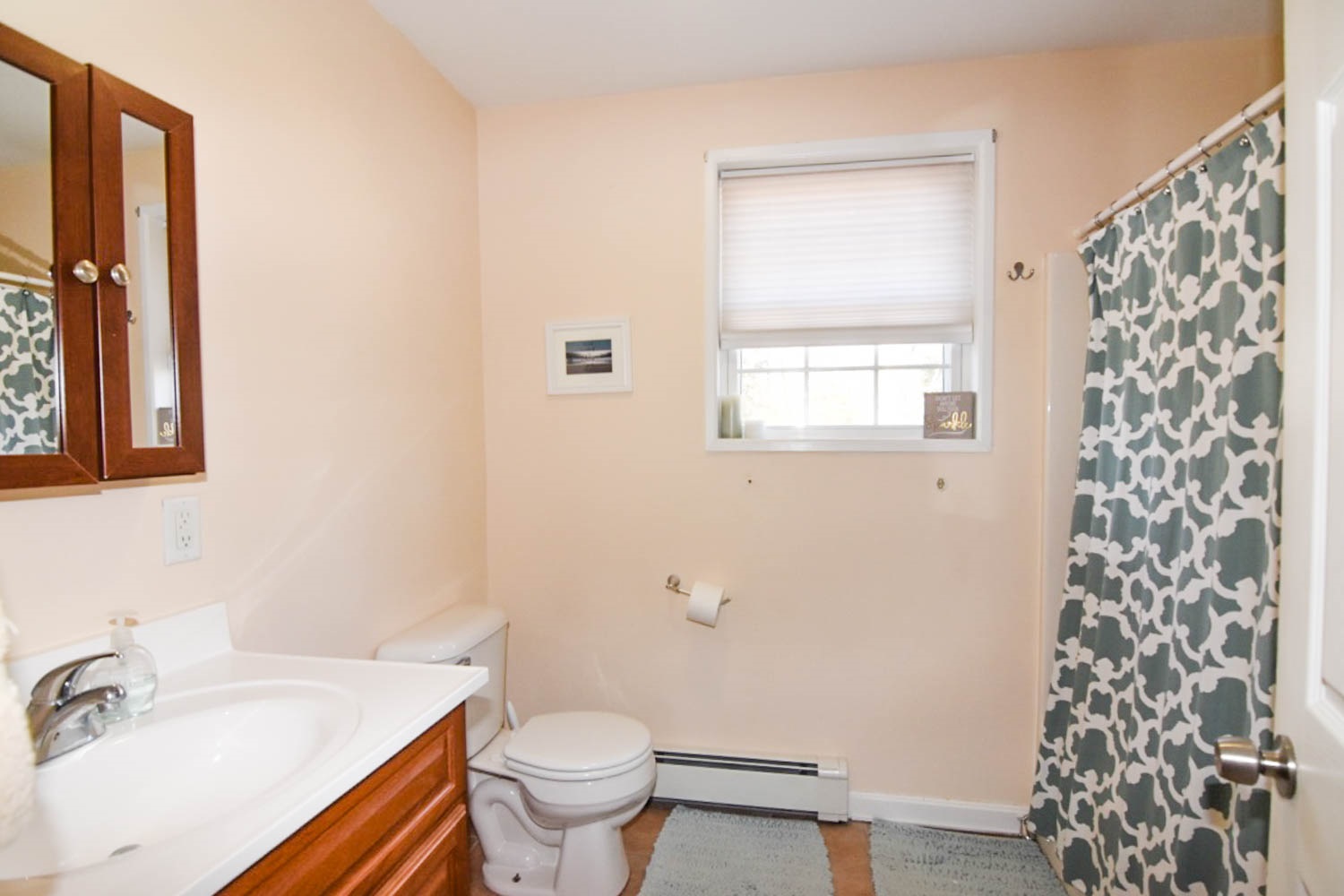 163 Town Farm Road Springfield, NH 03284 - Photo 15 of 33