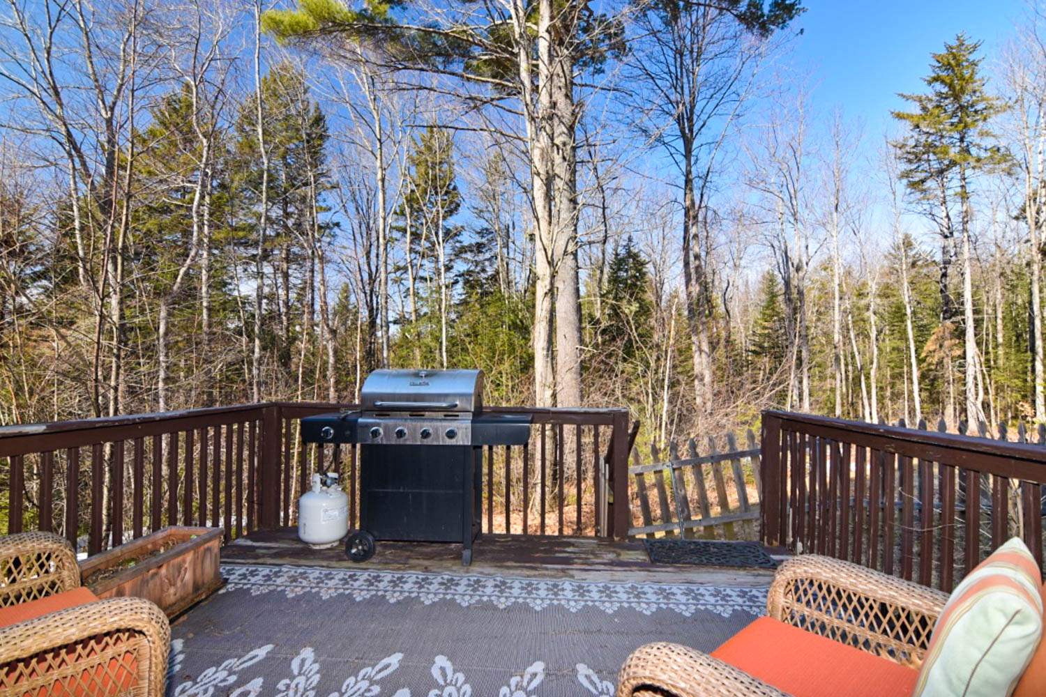 163 Town Farm Road Springfield, NH 03284 - Photo 27 of 33