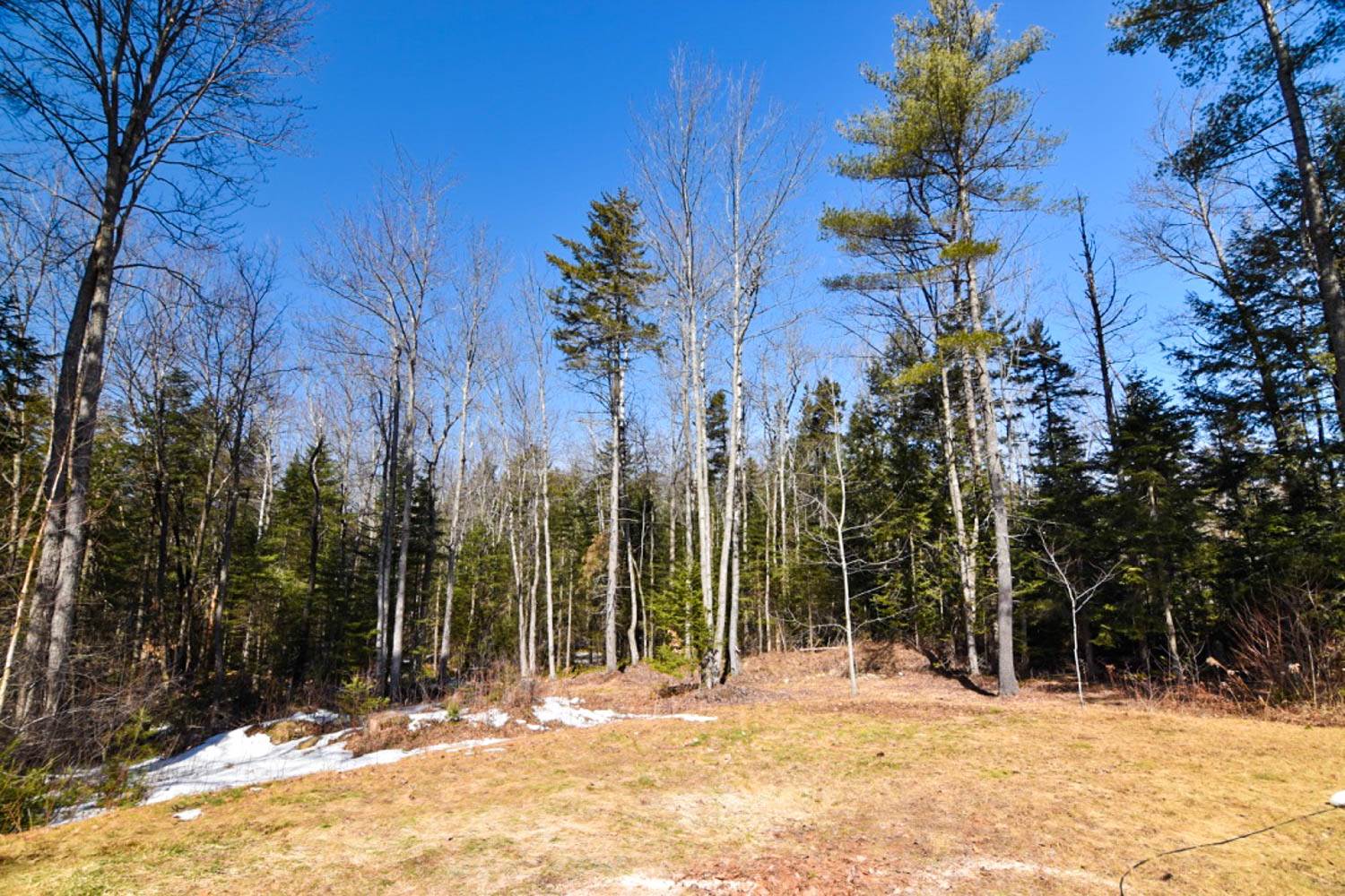 163 Town Farm Road Springfield, NH 03284 - Photo 32 of 33