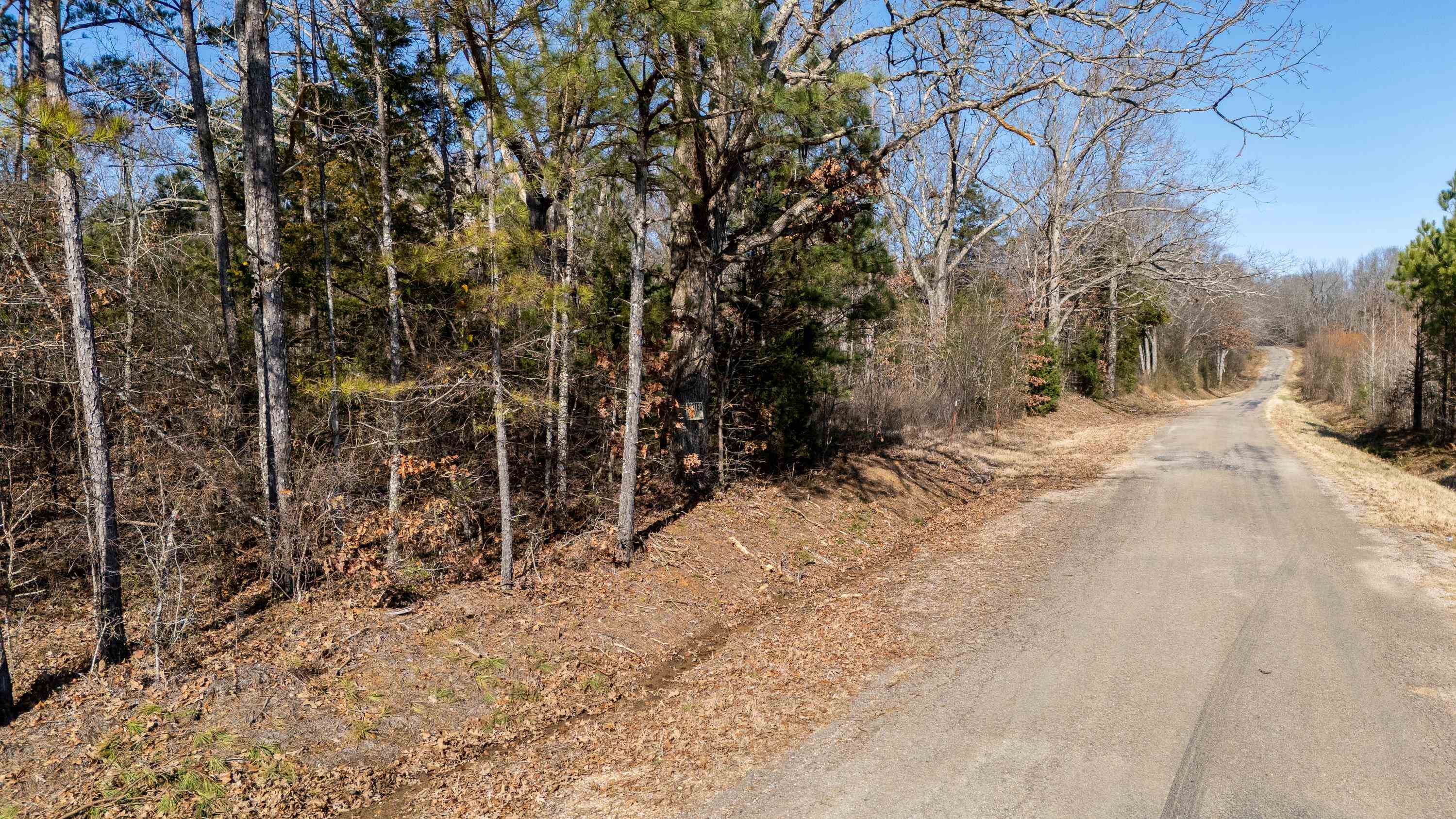 455 Mt Olive Road Michie, TN 38357 - Photo 3 of 25 View of road