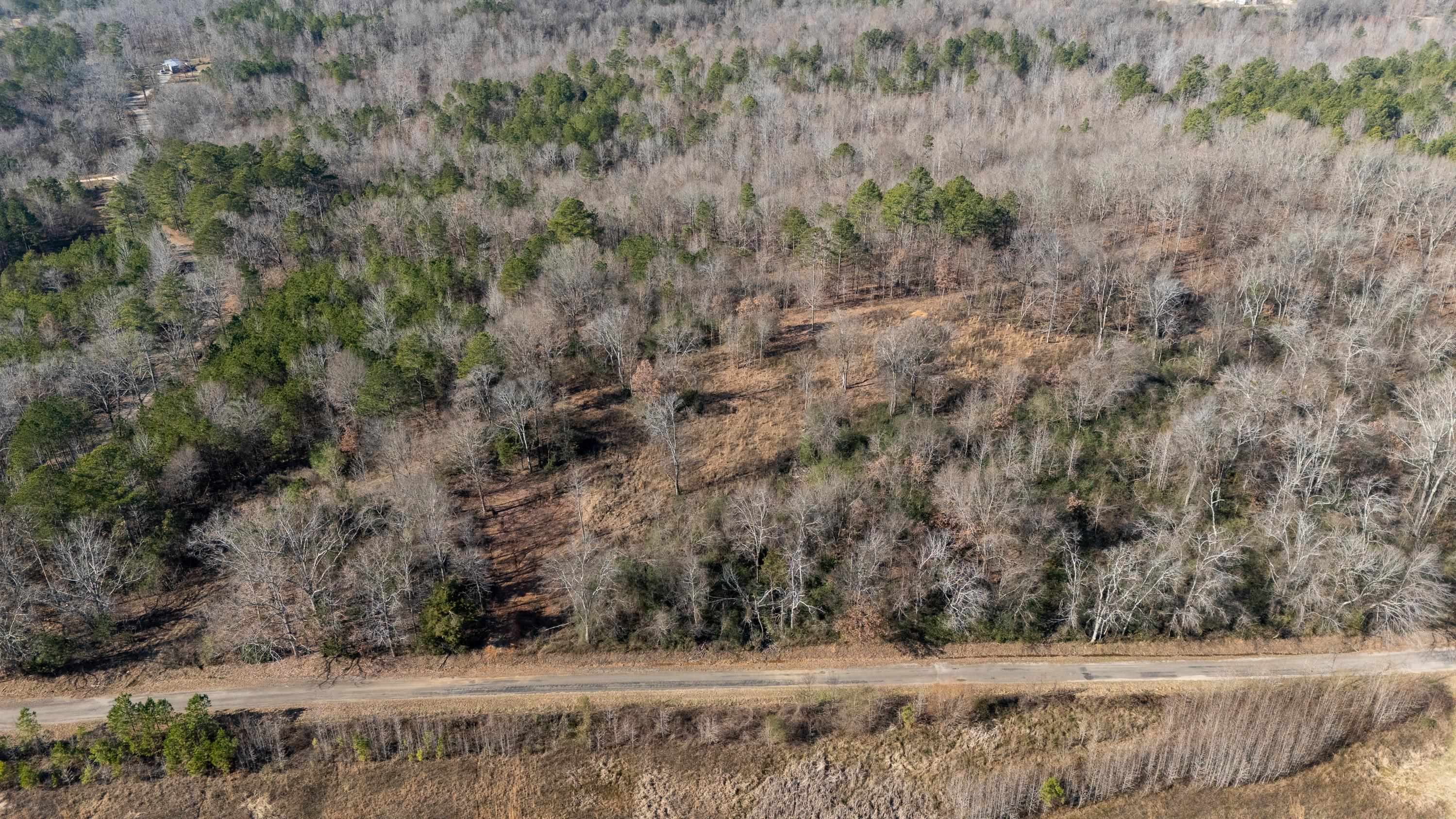 455 Mt Olive Road Michie, TN 38357 - Photo 8 of 25 Gallery Image 8