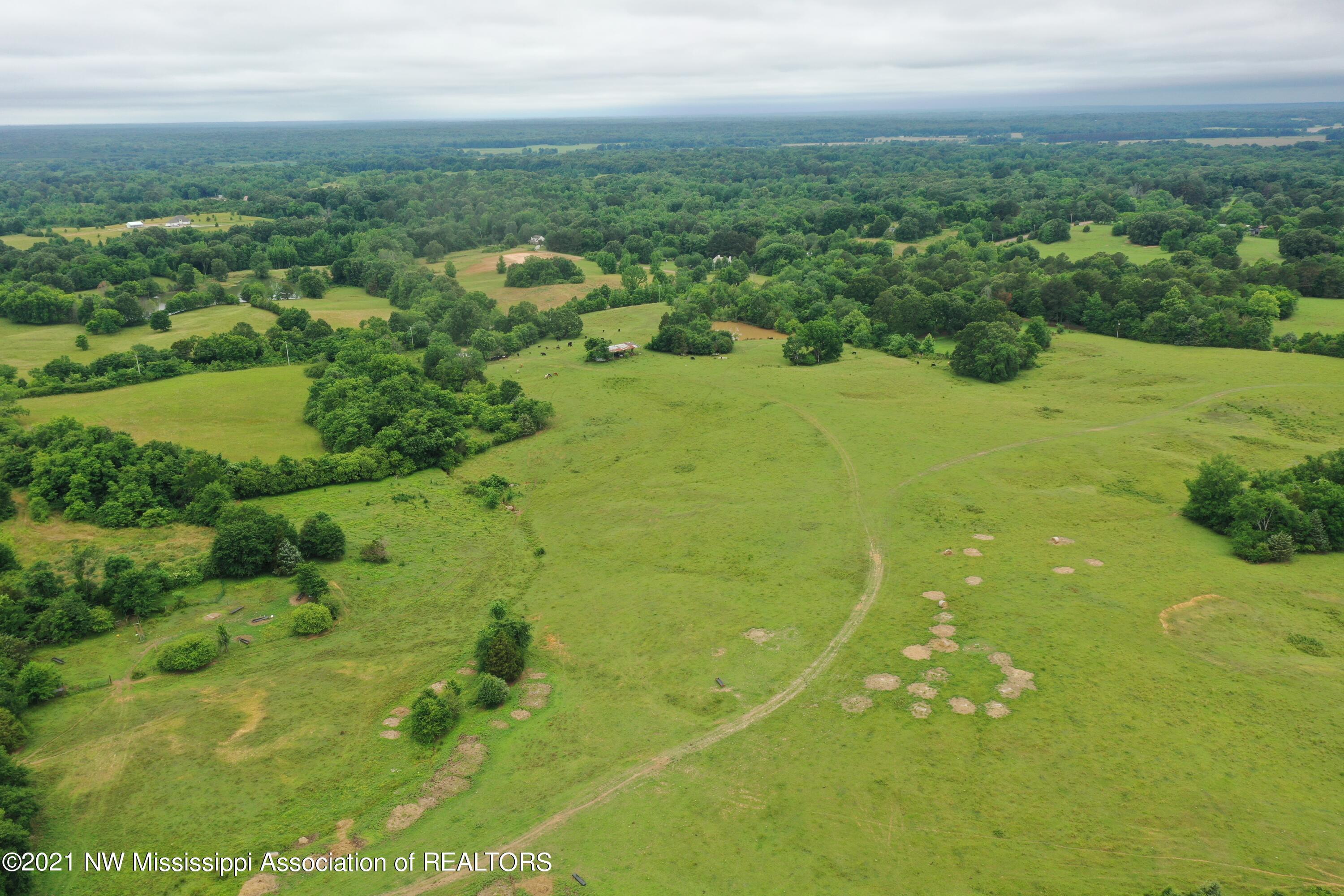 2 Watson Desoto Road Byhalia, MS 38611 - Photo 11 of 70 DJI_0367