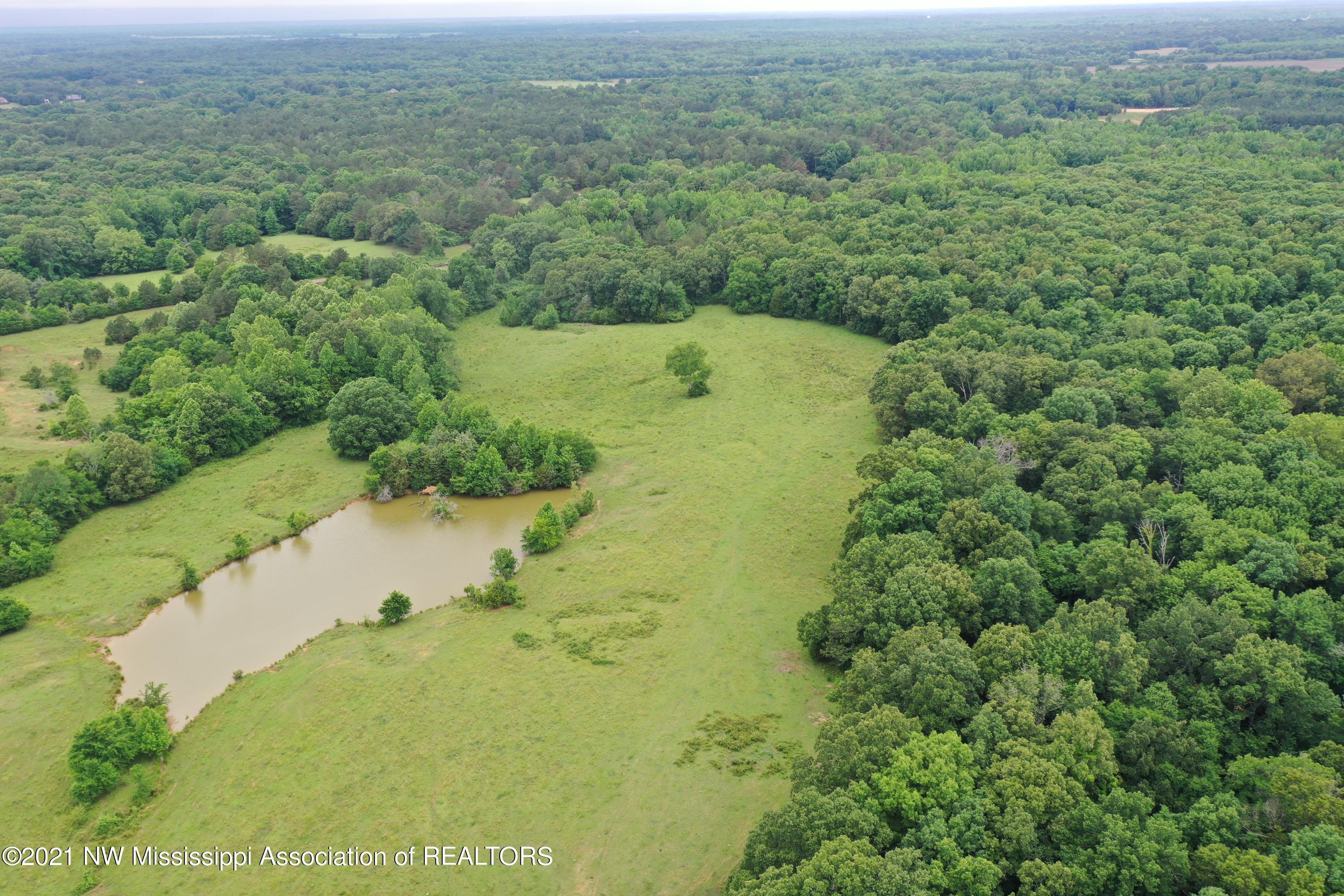 2 Watson Desoto Road Byhalia, MS 38611 - Photo 12 of 70 DJI_0368