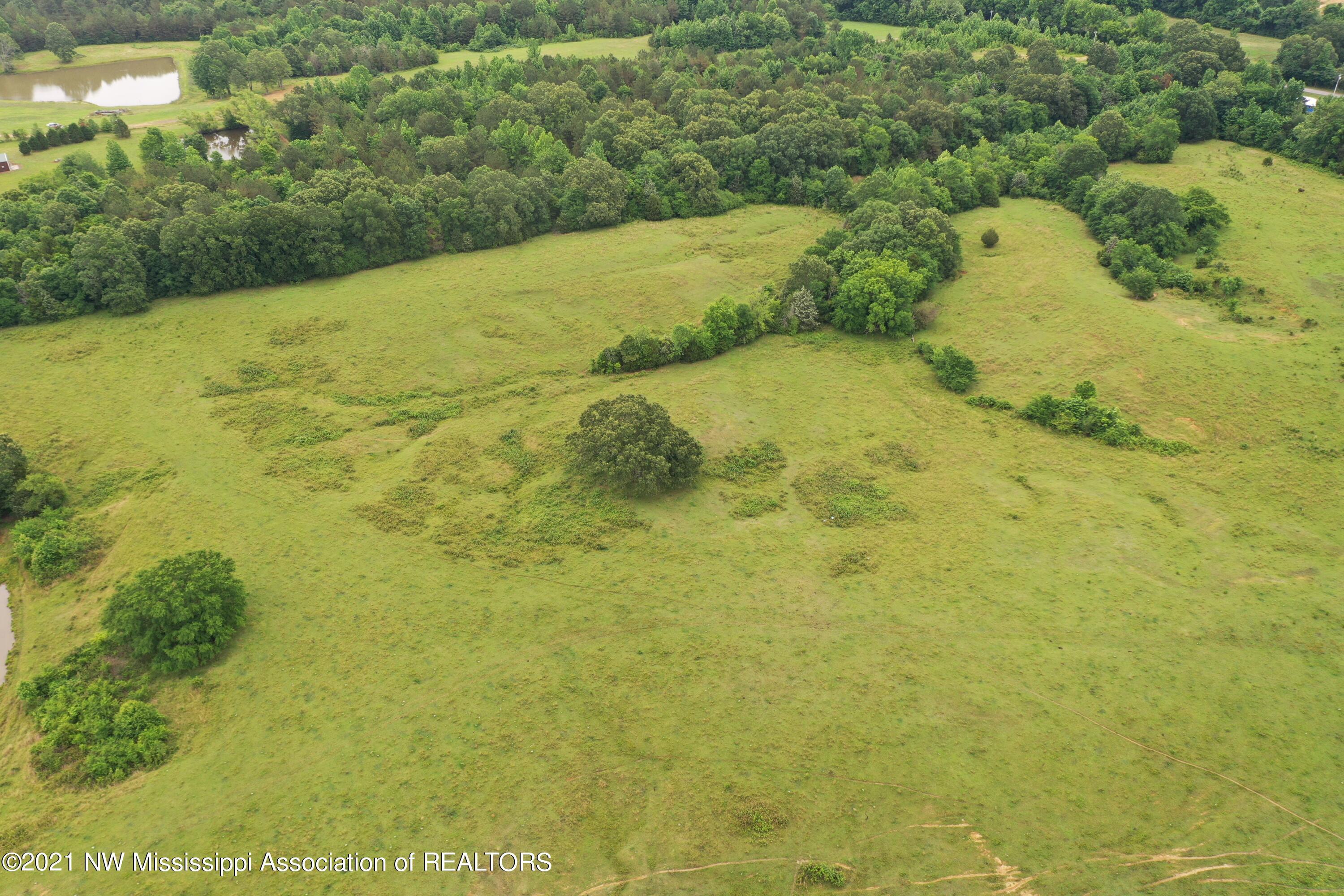 2 Watson Desoto Road Byhalia, MS 38611 - Photo 15 of 70 DJI_0371