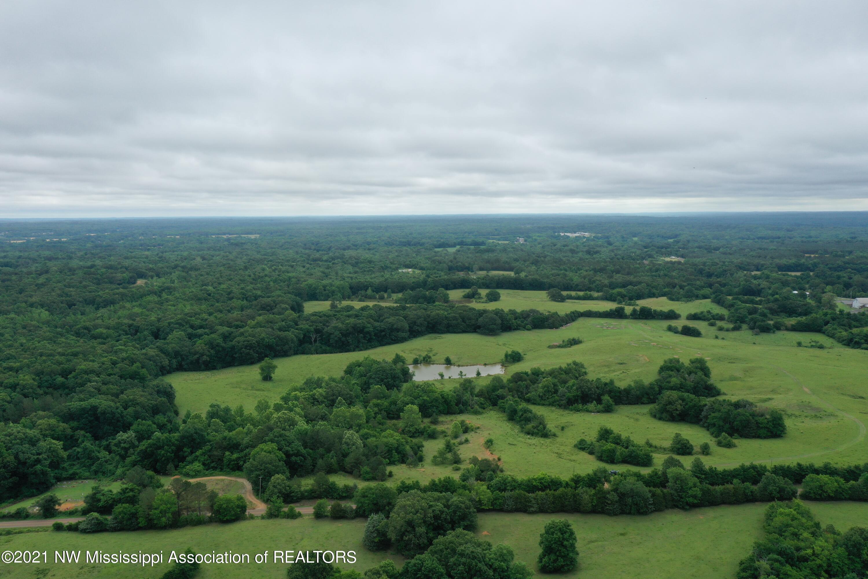 2 Watson Desoto Road Byhalia, MS 38611 - Photo 16 of 70 DJI_0372