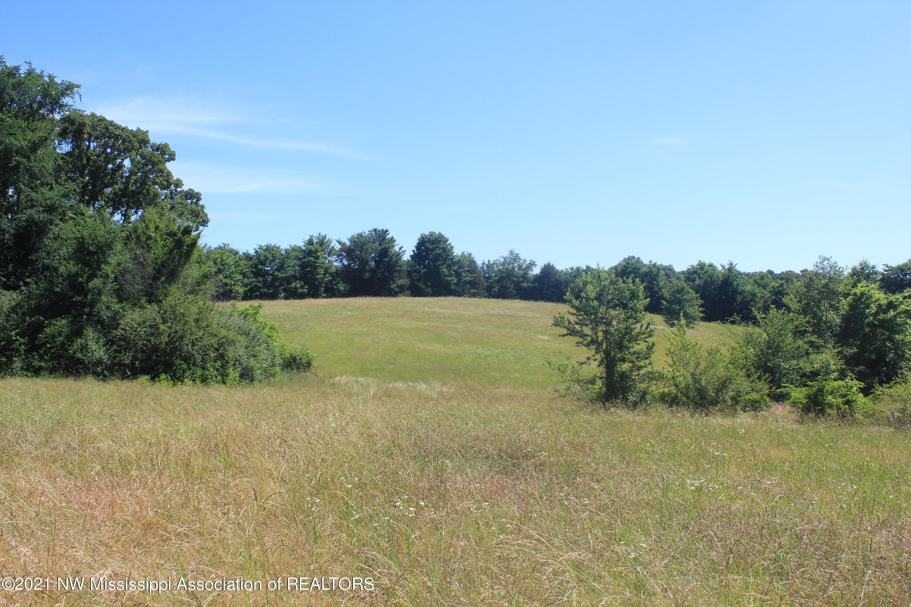 2 Watson Desoto Road Byhalia, MS 38611 - Photo 20 of 70 IMG_6705