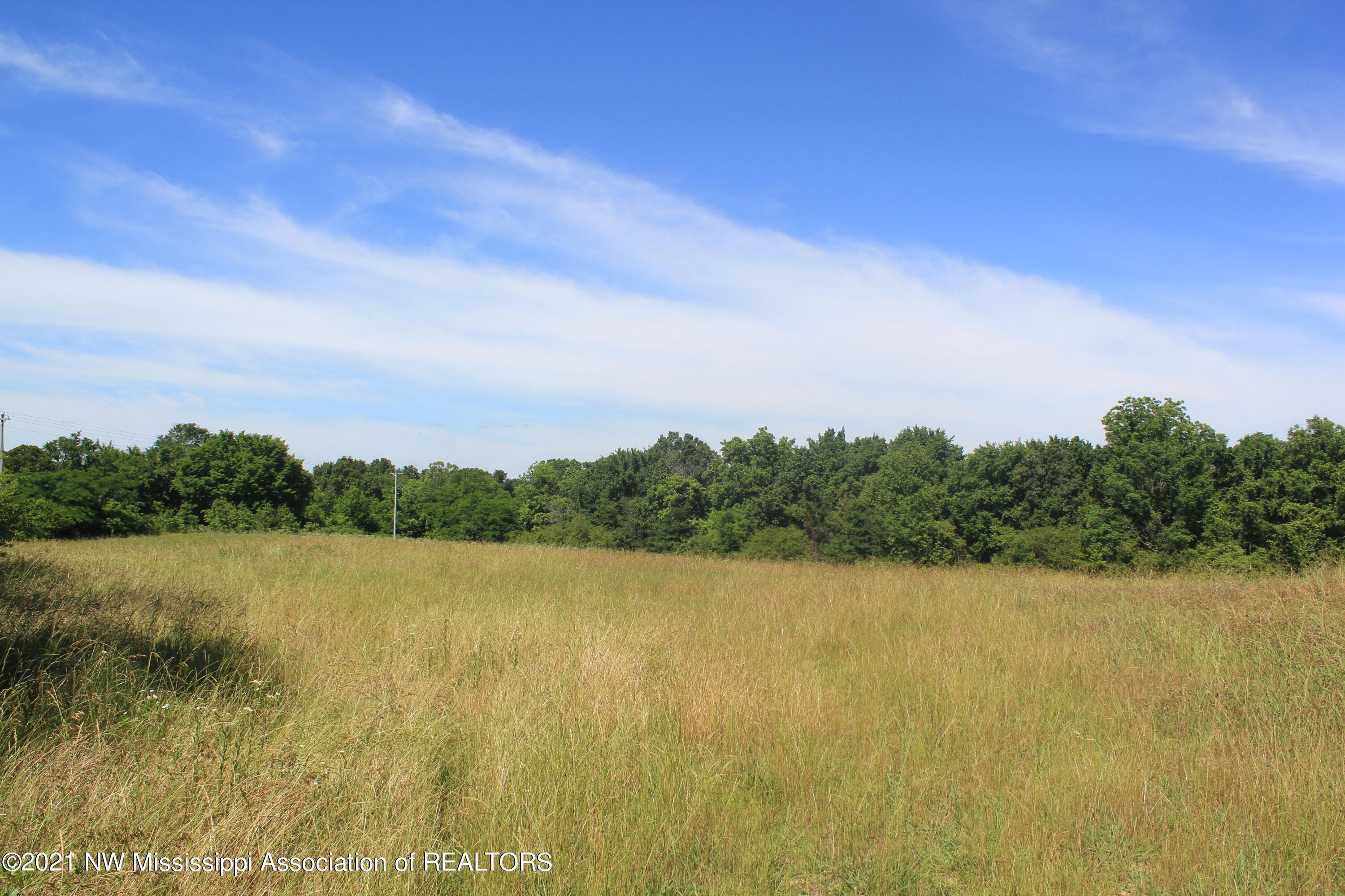 2 Watson Desoto Road Byhalia, MS 38611 - Photo 22 of 70 IMG_6707
