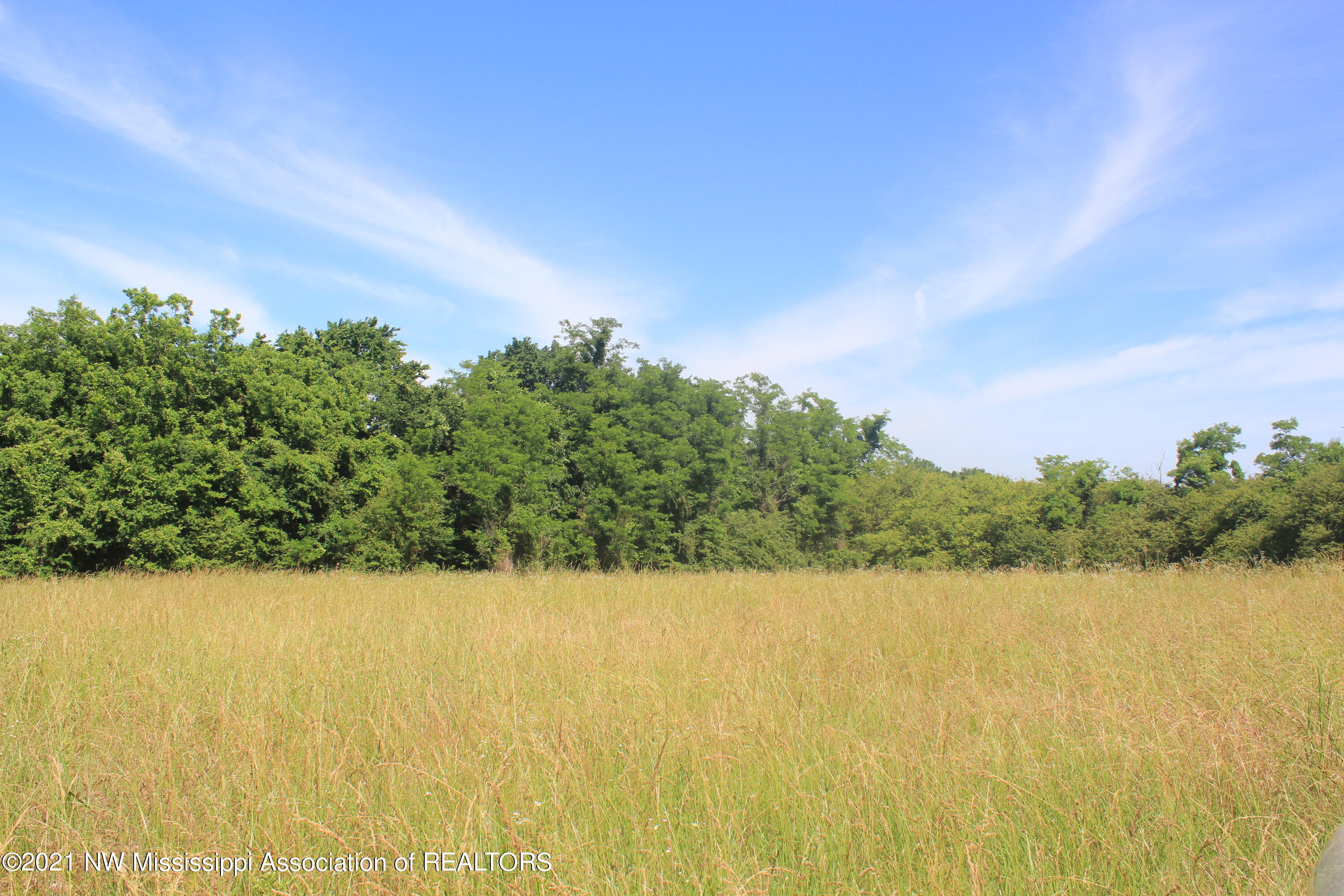 2 Watson Desoto Road Byhalia, MS 38611 - Photo 24 of 70 IMG_6711