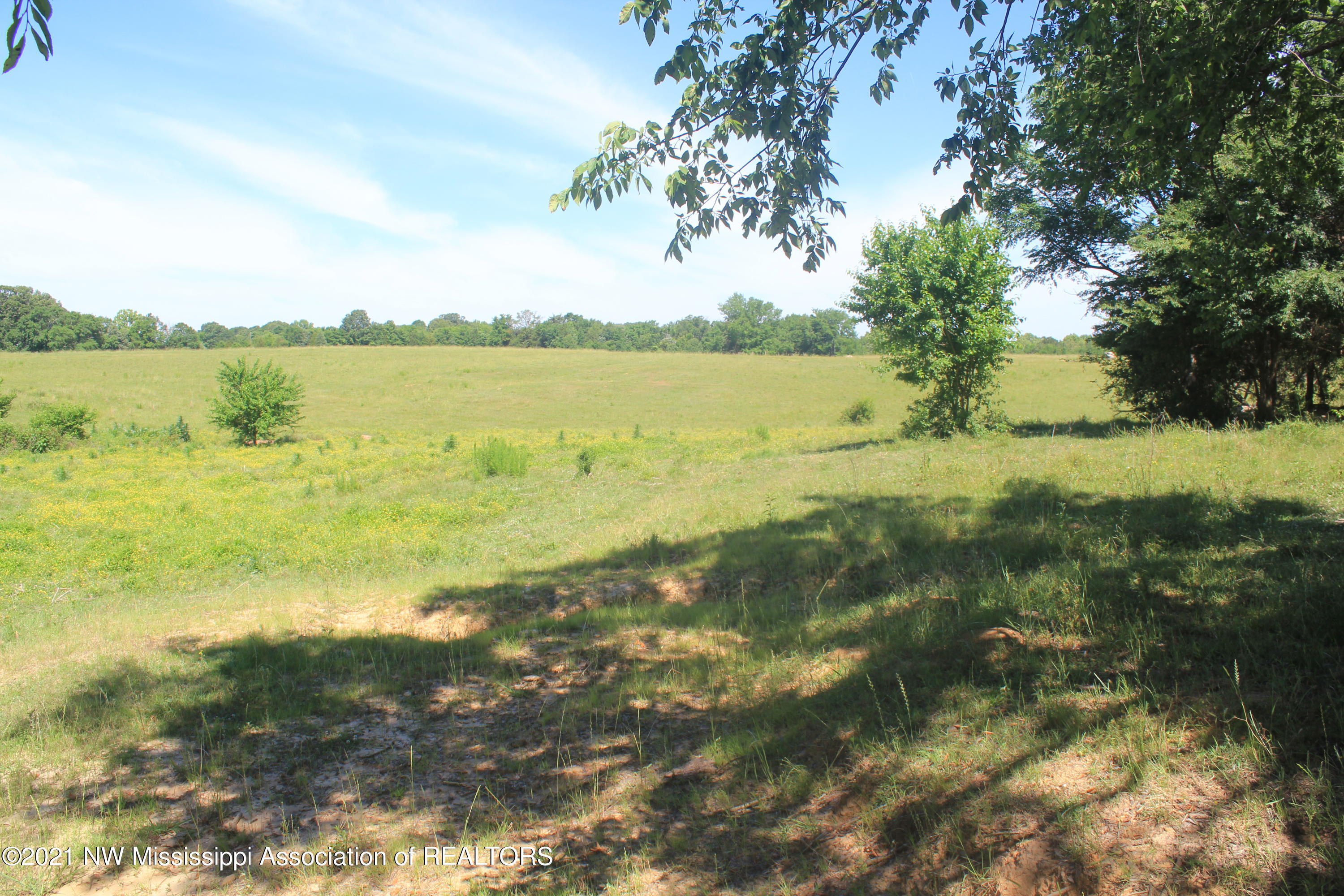 2 Watson Desoto Road Byhalia, MS 38611 - Photo 27 of 70 IMG_6714
