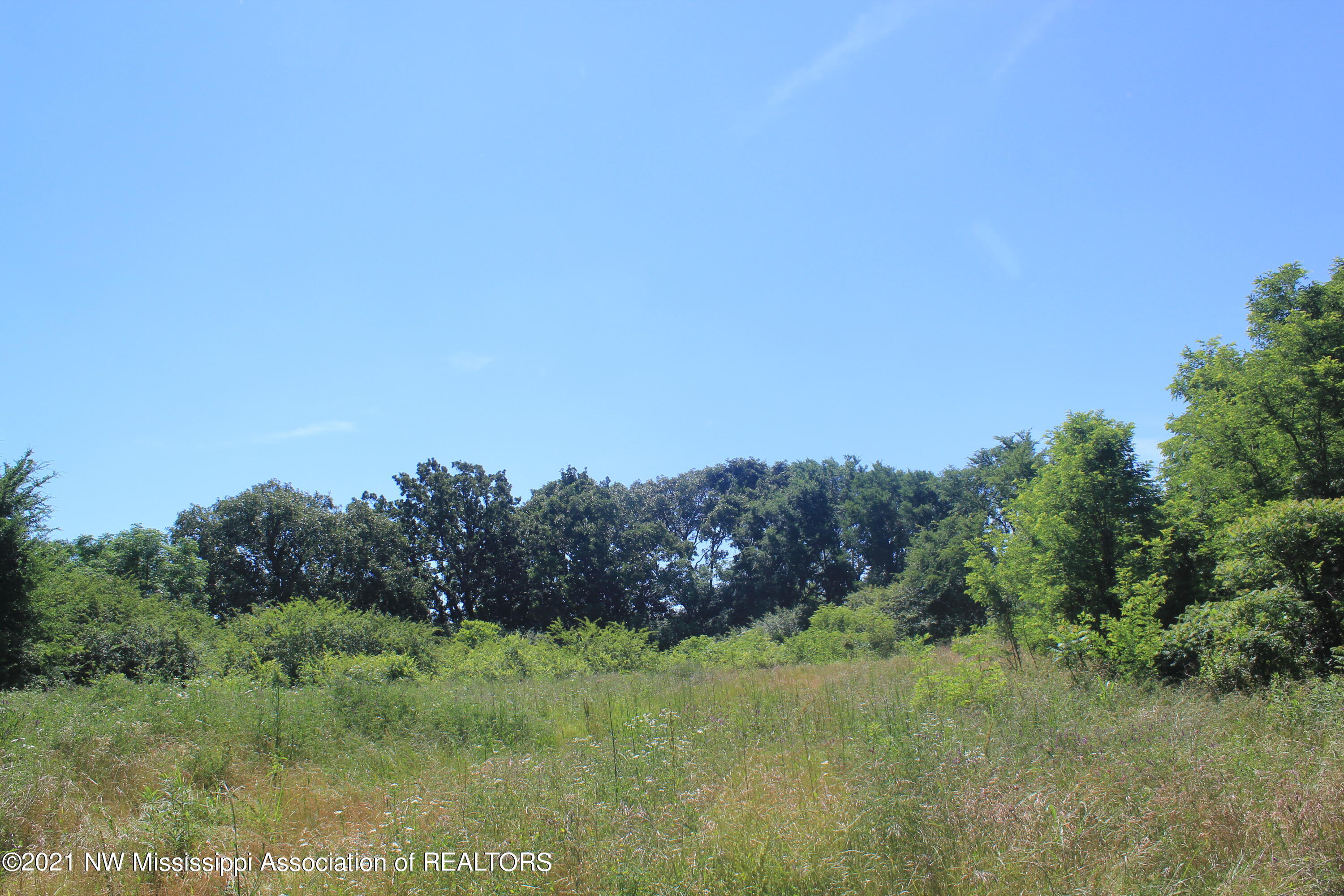 2 Watson Desoto Road Byhalia, MS 38611 - Photo 28 of 70 IMG_6715