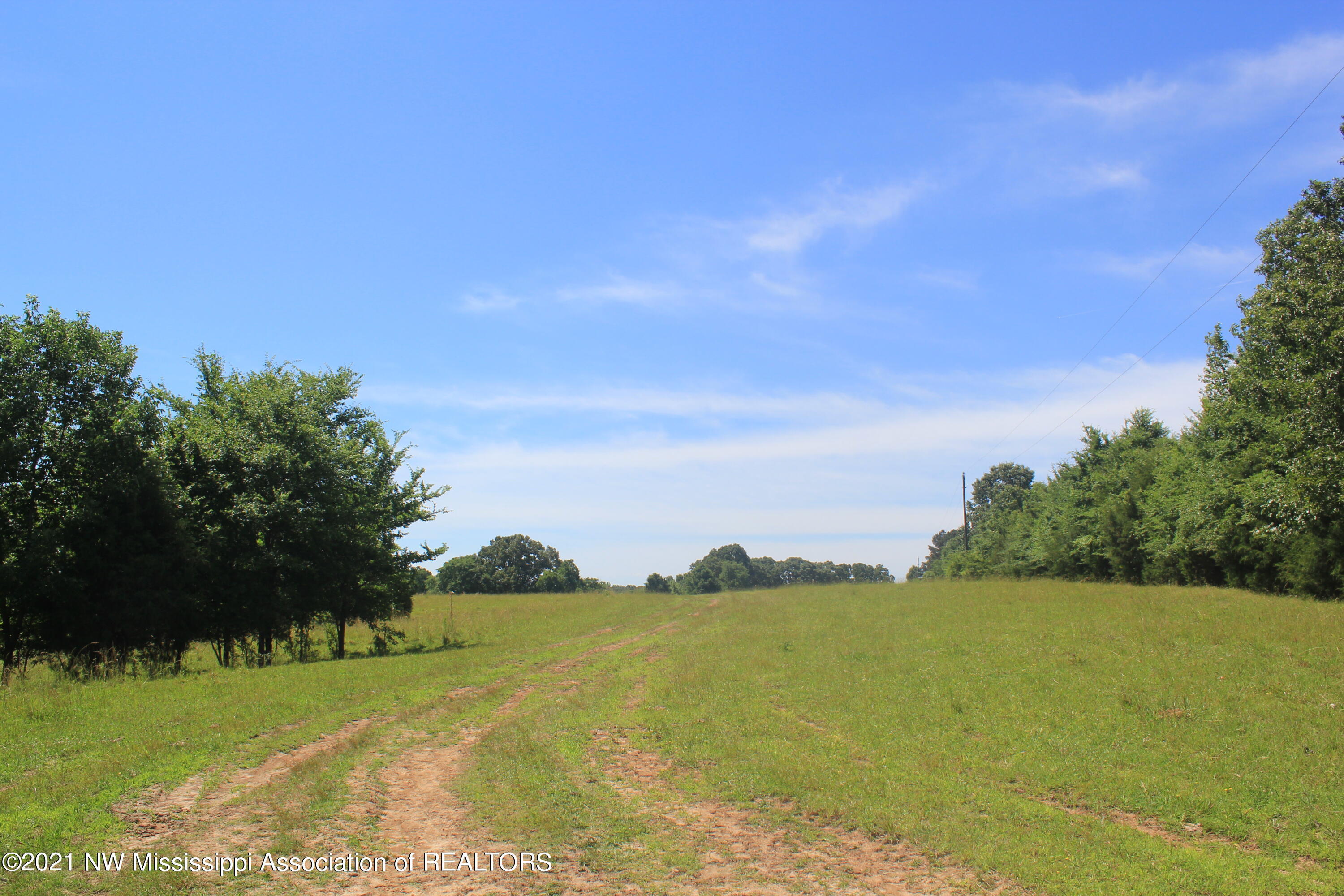 2 Watson Desoto Road Byhalia, MS 38611 - Photo 30 of 70 IMG_6717
