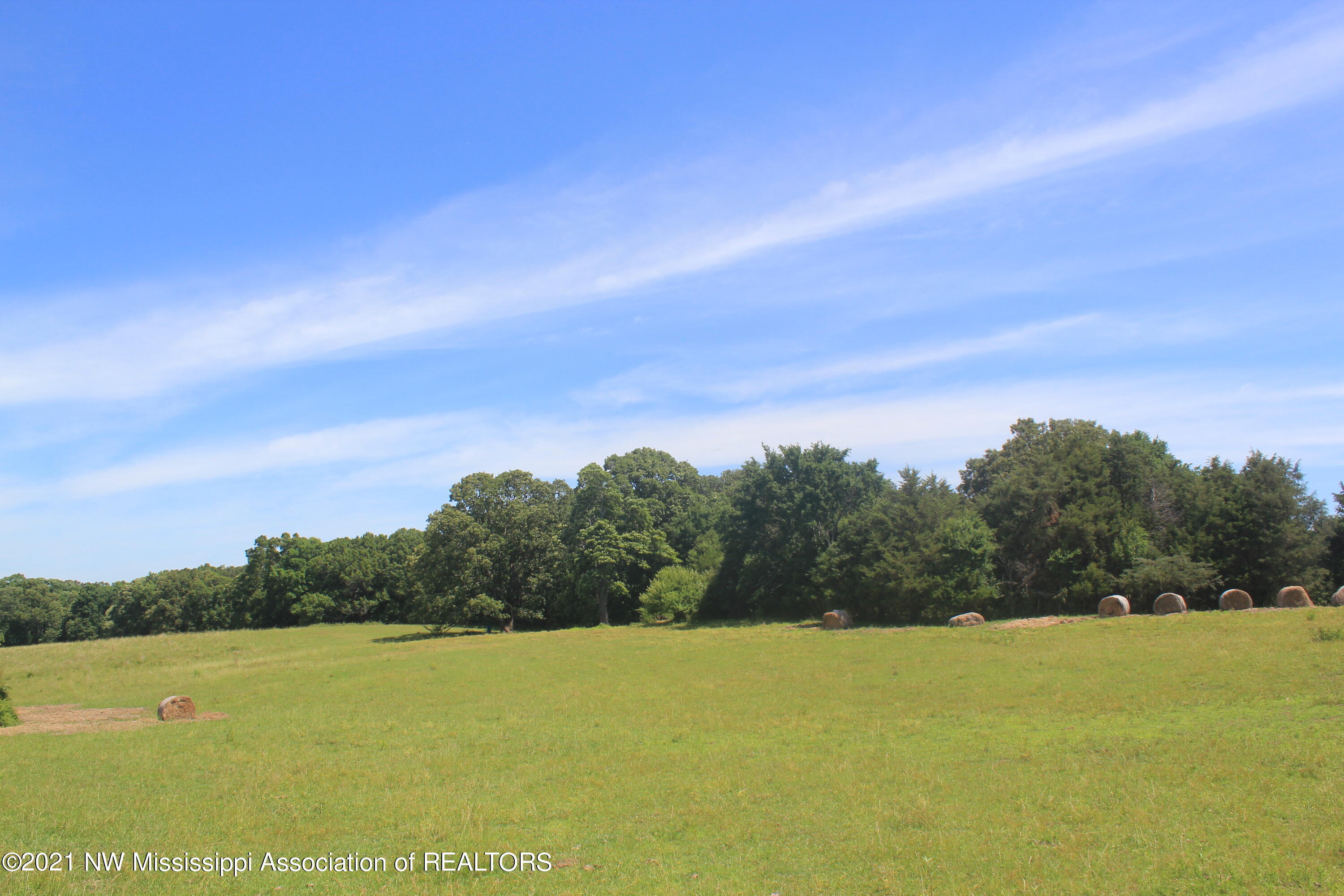 2 Watson Desoto Road Byhalia, MS 38611 - Photo 40 of 70 IMG_6728
