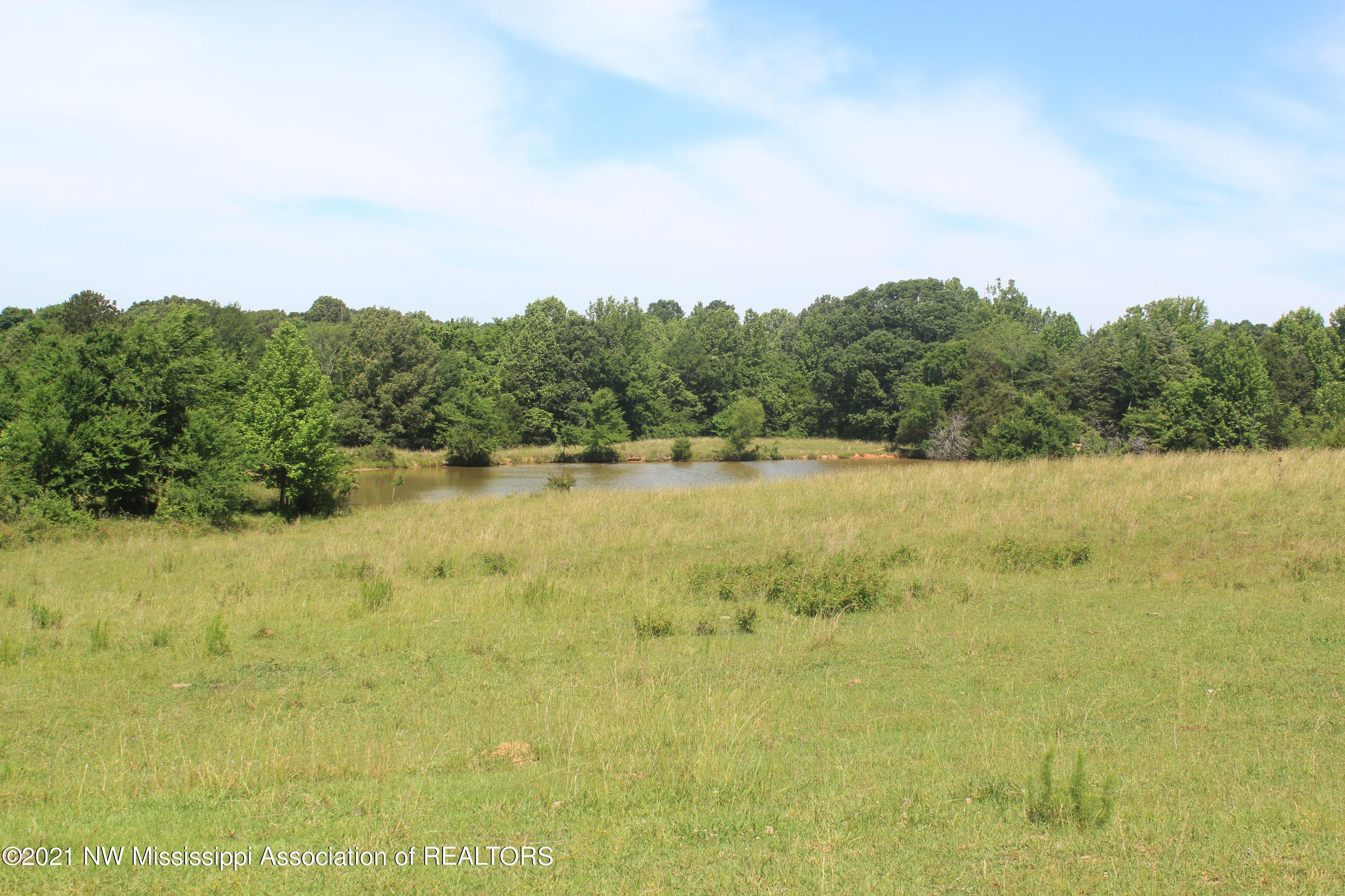 2 Watson Desoto Road Byhalia, MS 38611 - Photo 41 of 70 IMG_6729
