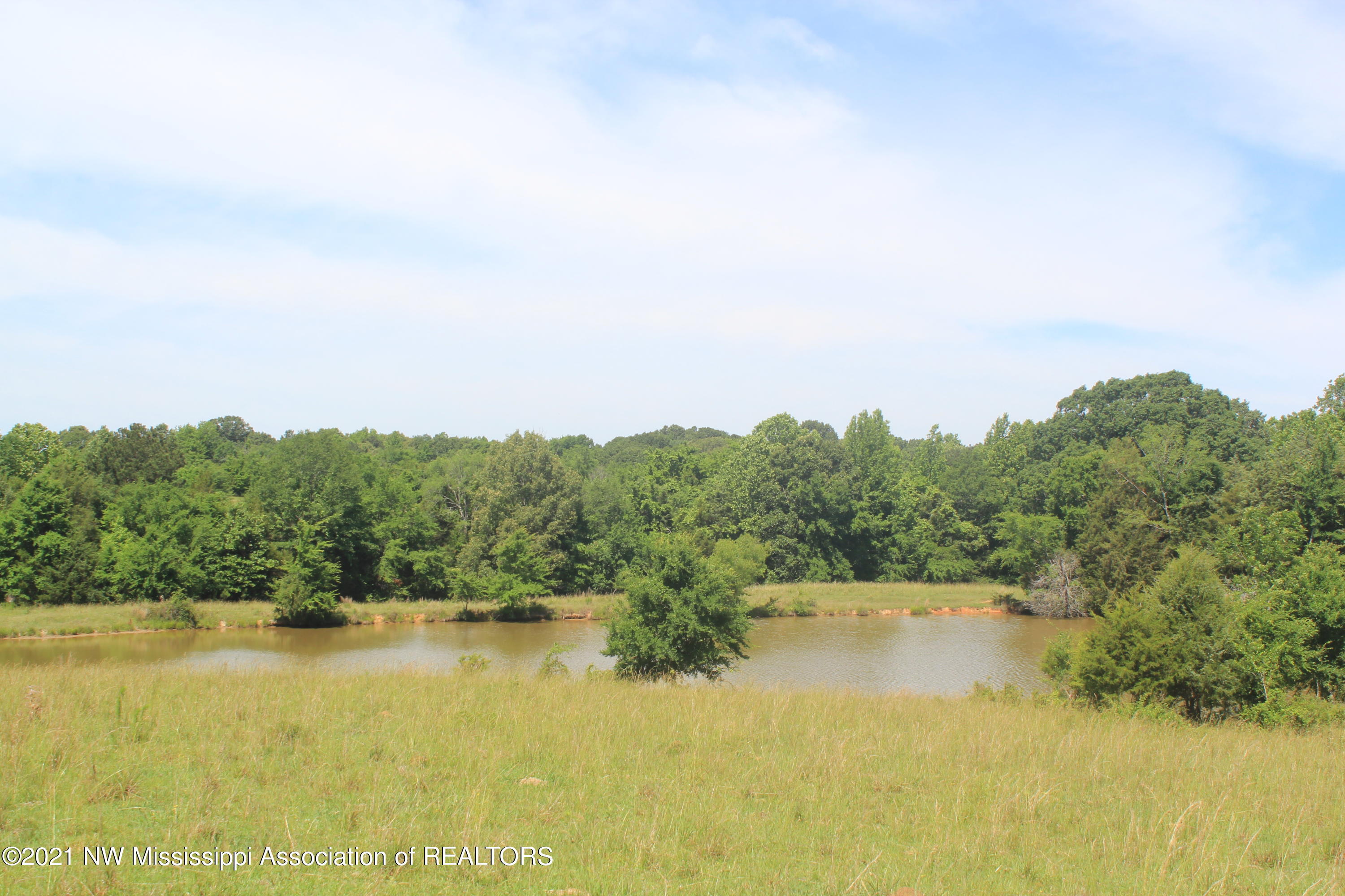2 Watson Desoto Road Byhalia, MS 38611 - Photo 42 of 70 IMG_6730