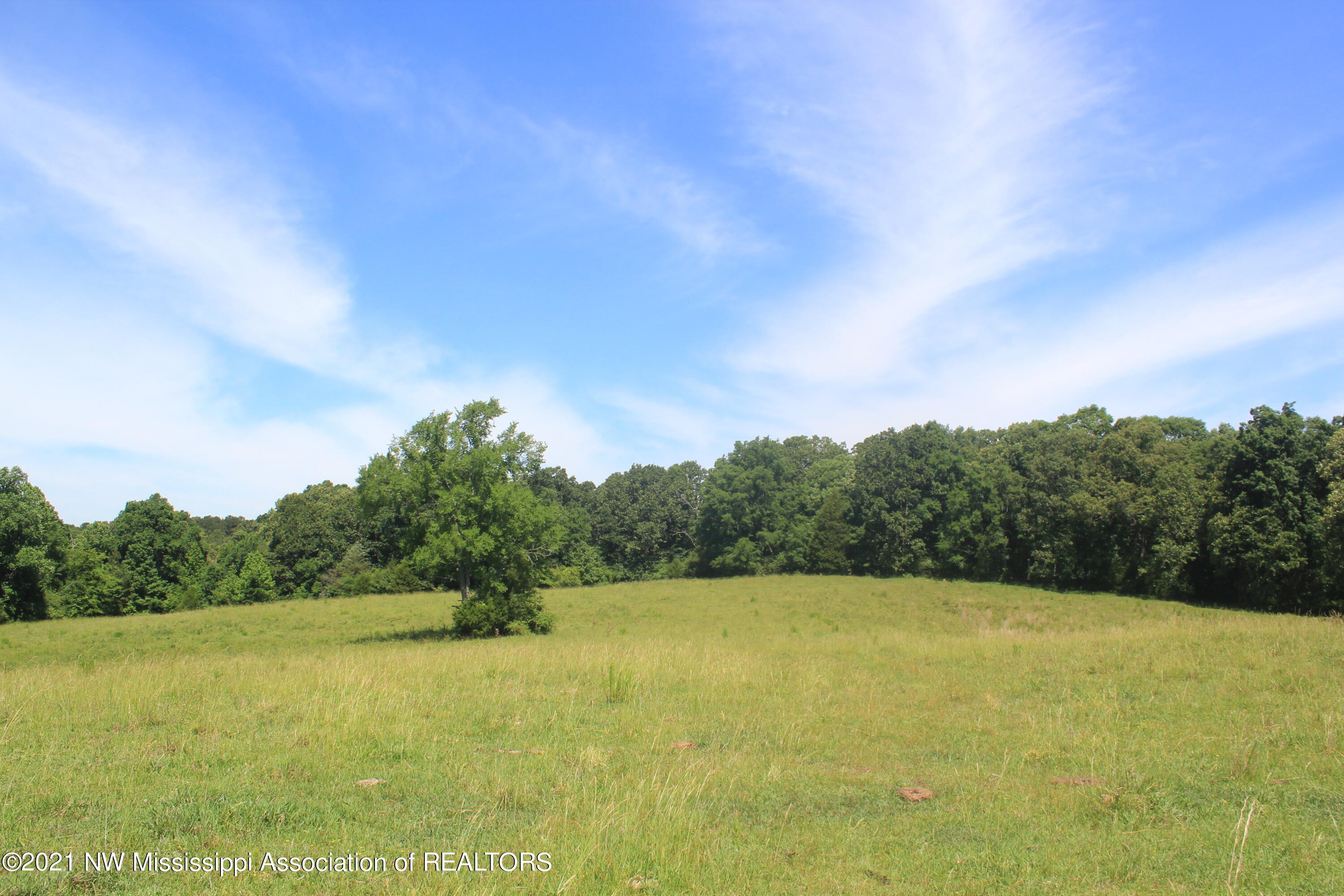 2 Watson Desoto Road Byhalia, MS 38611 - Photo 45 of 70 IMG_6733