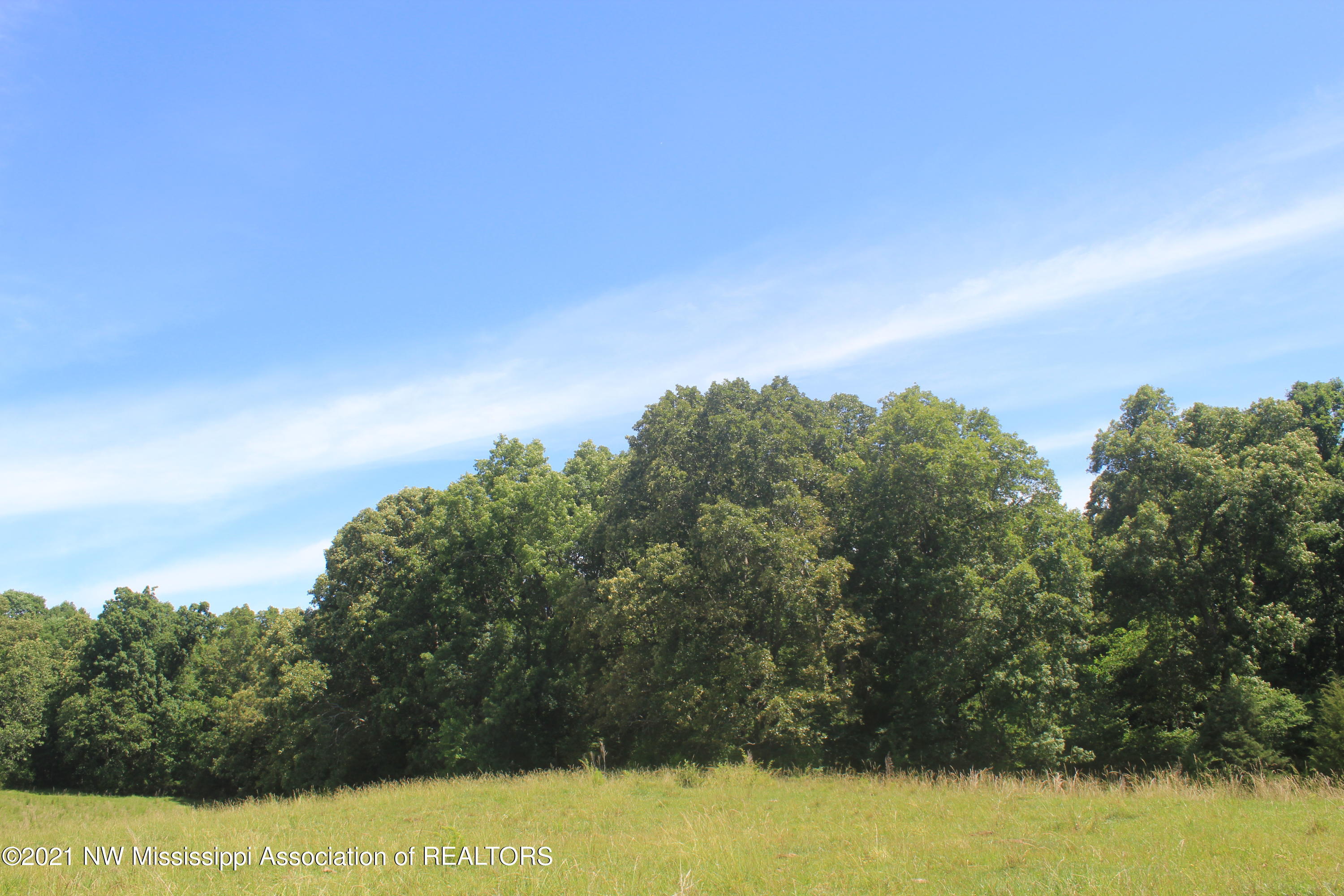 2 Watson Desoto Road Byhalia, MS 38611 - Photo 48 of 70 IMG_6736