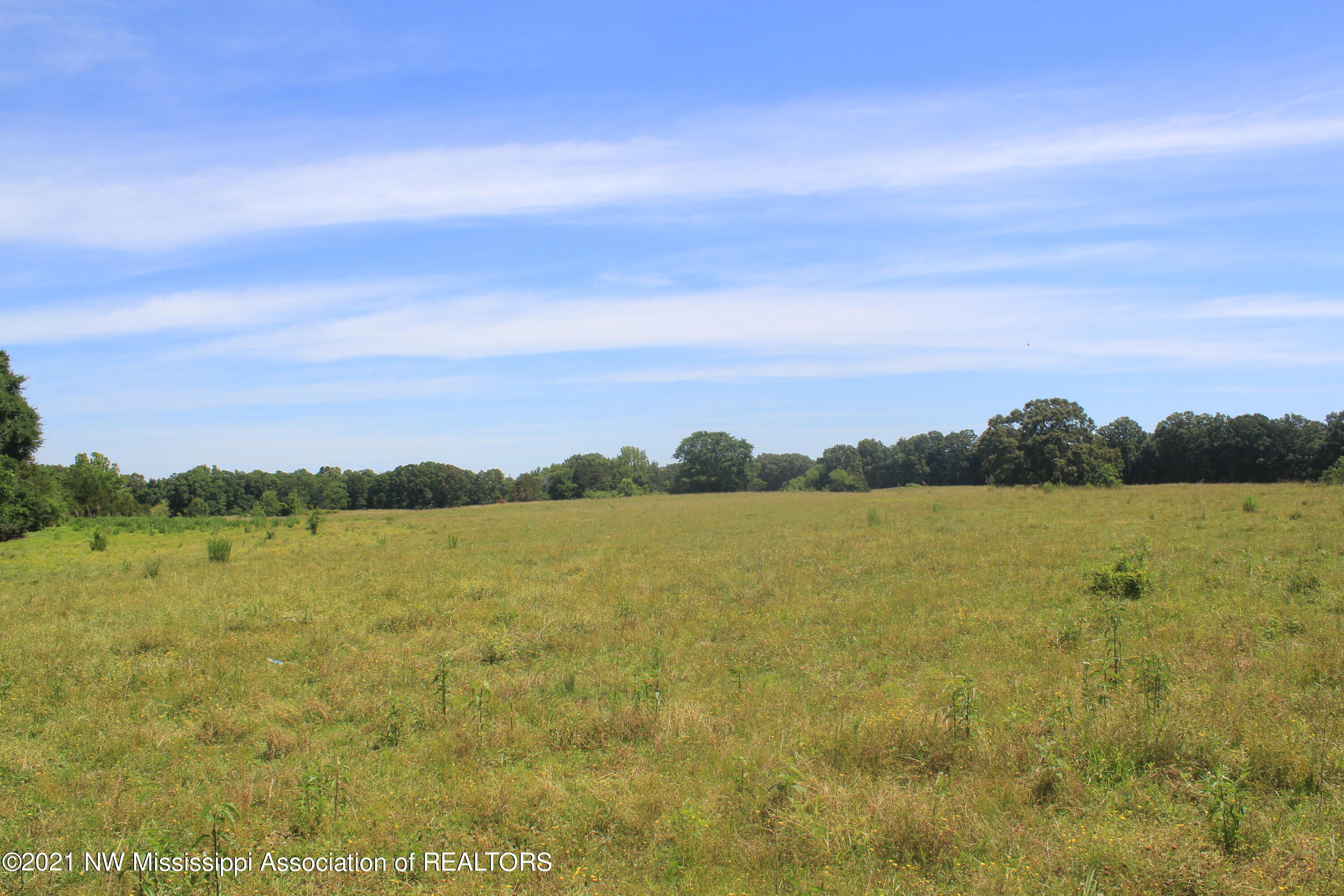 2 Watson Desoto Road Byhalia, MS 38611 - Photo 50 of 70 IMG_6738
