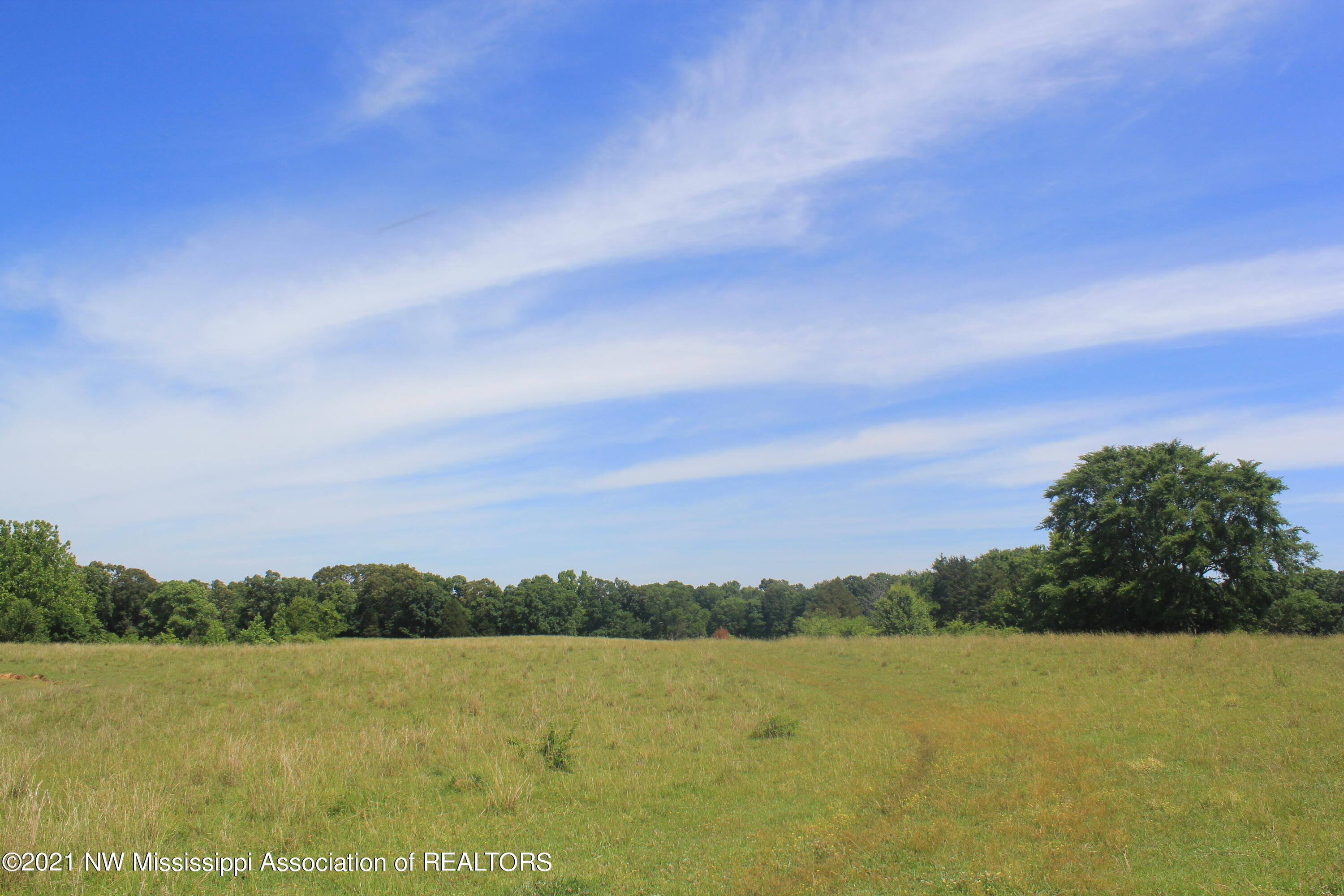 2 Watson Desoto Road Byhalia, MS 38611 - Photo 53 of 70 IMG_6741