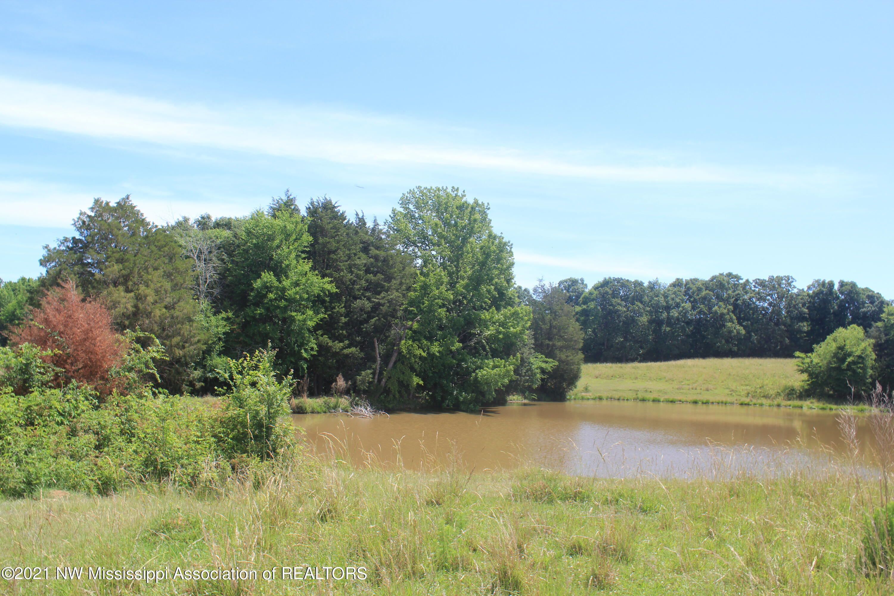 2 Watson Desoto Road Byhalia, MS 38611 - Photo 55 of 70 IMG_6744
