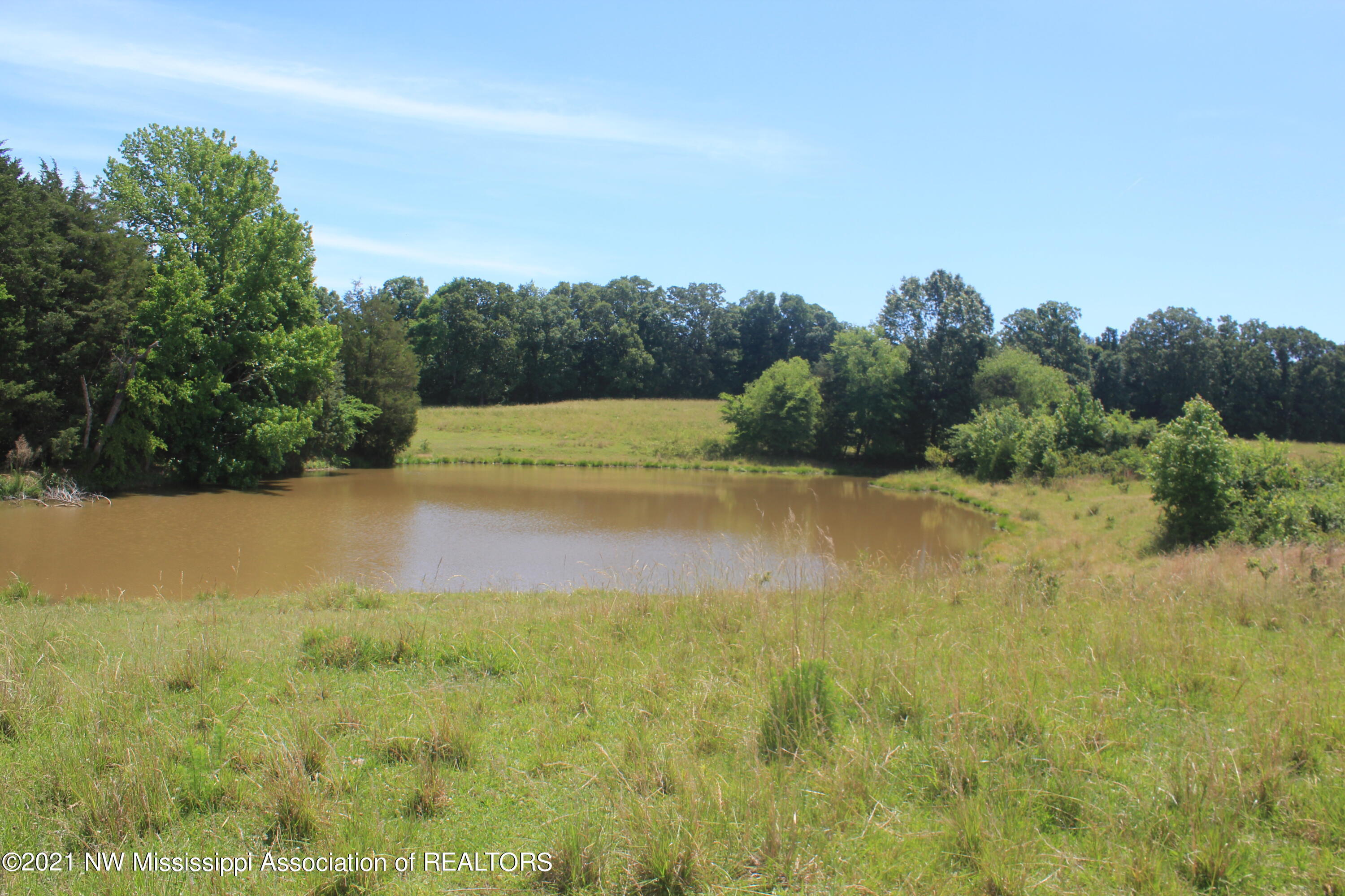 2 Watson Desoto Road Byhalia, MS 38611 - Photo 56 of 70 IMG_6745