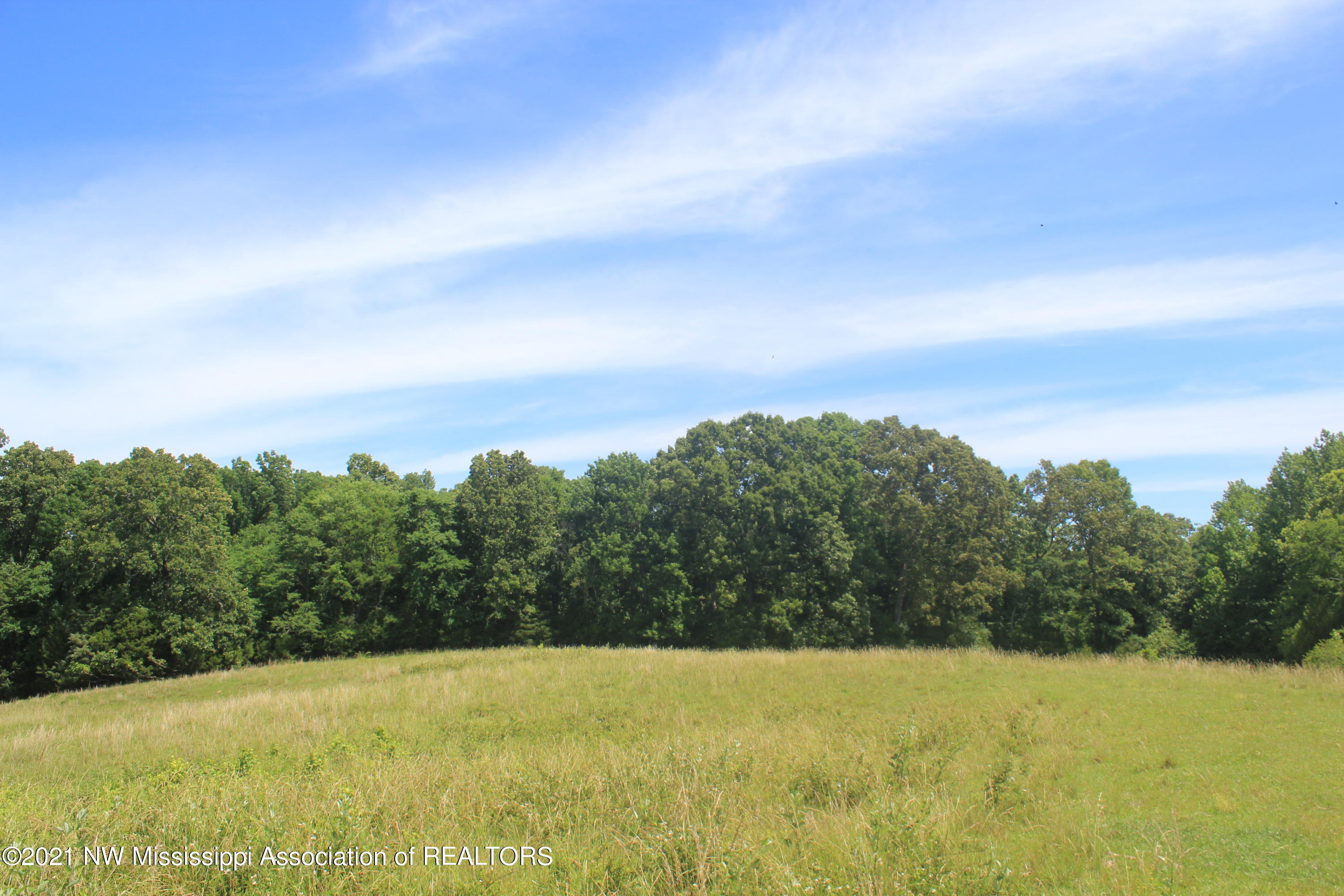2 Watson Desoto Road Byhalia, MS 38611 - Photo 62 of 70 IMG_6752