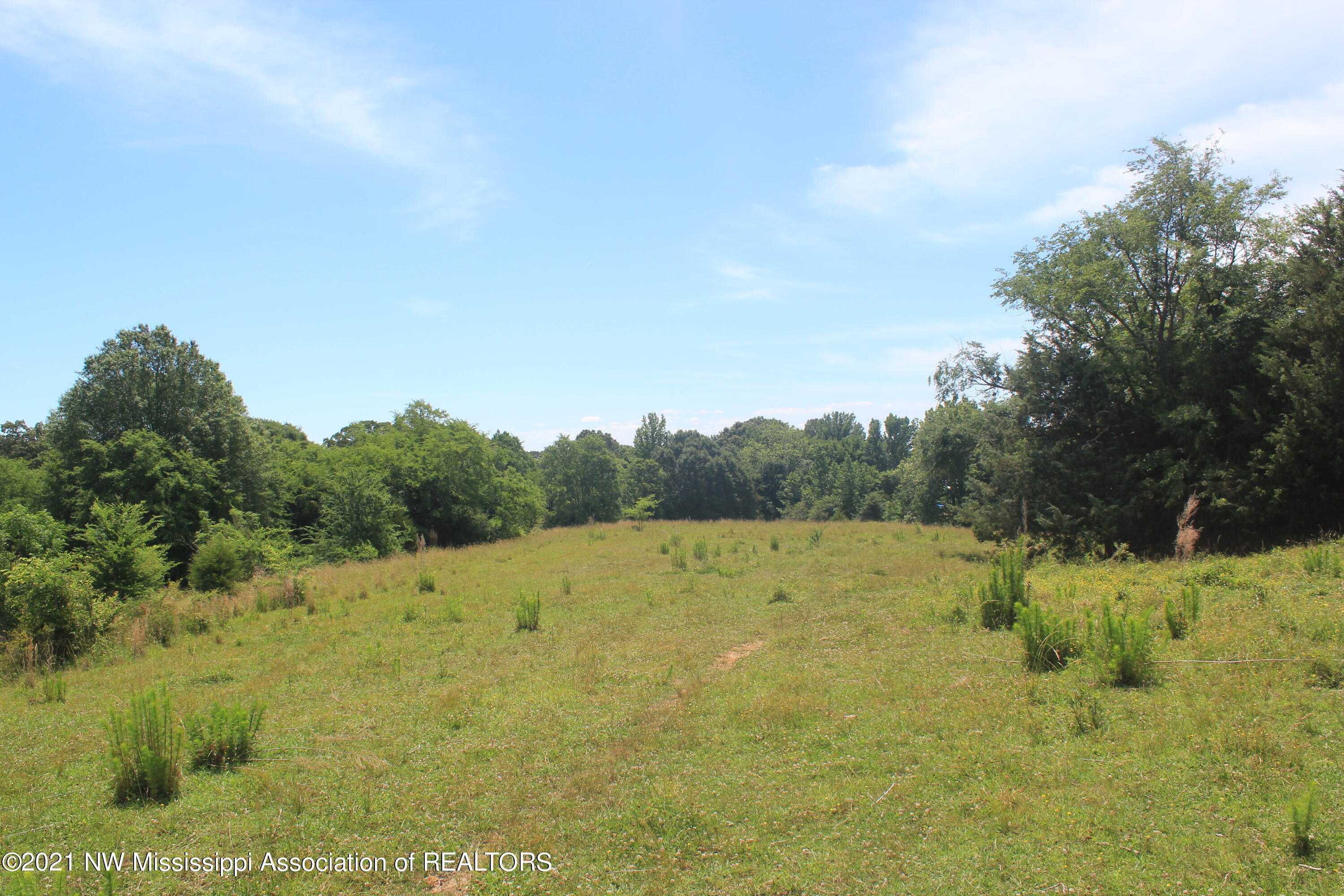 2 Watson Desoto Road Byhalia, MS 38611 - Photo 66 of 70 IMG_6756
