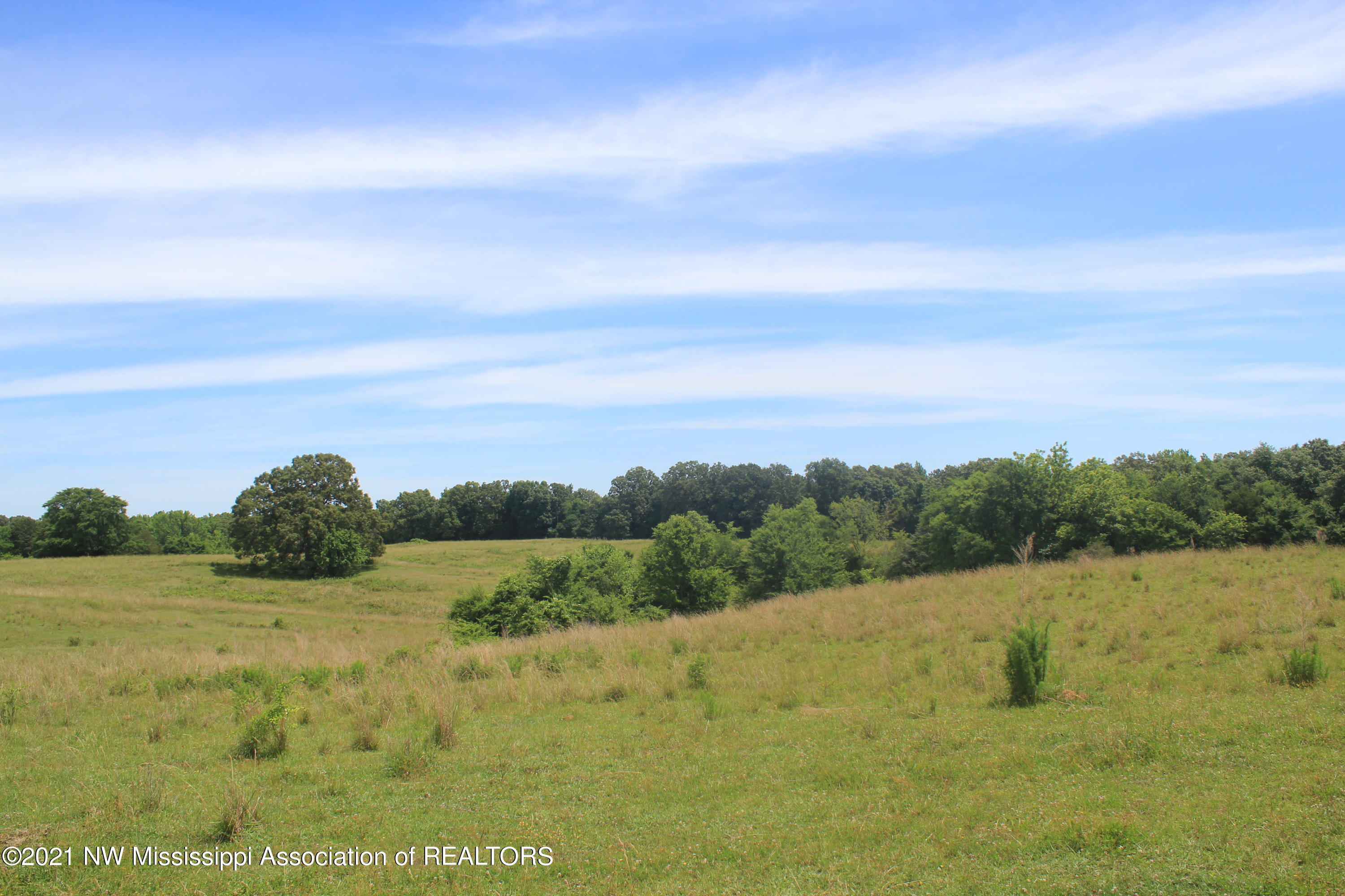 2 Watson Desoto Road Byhalia, MS 38611 - Photo 69 of 70 IMG_6759