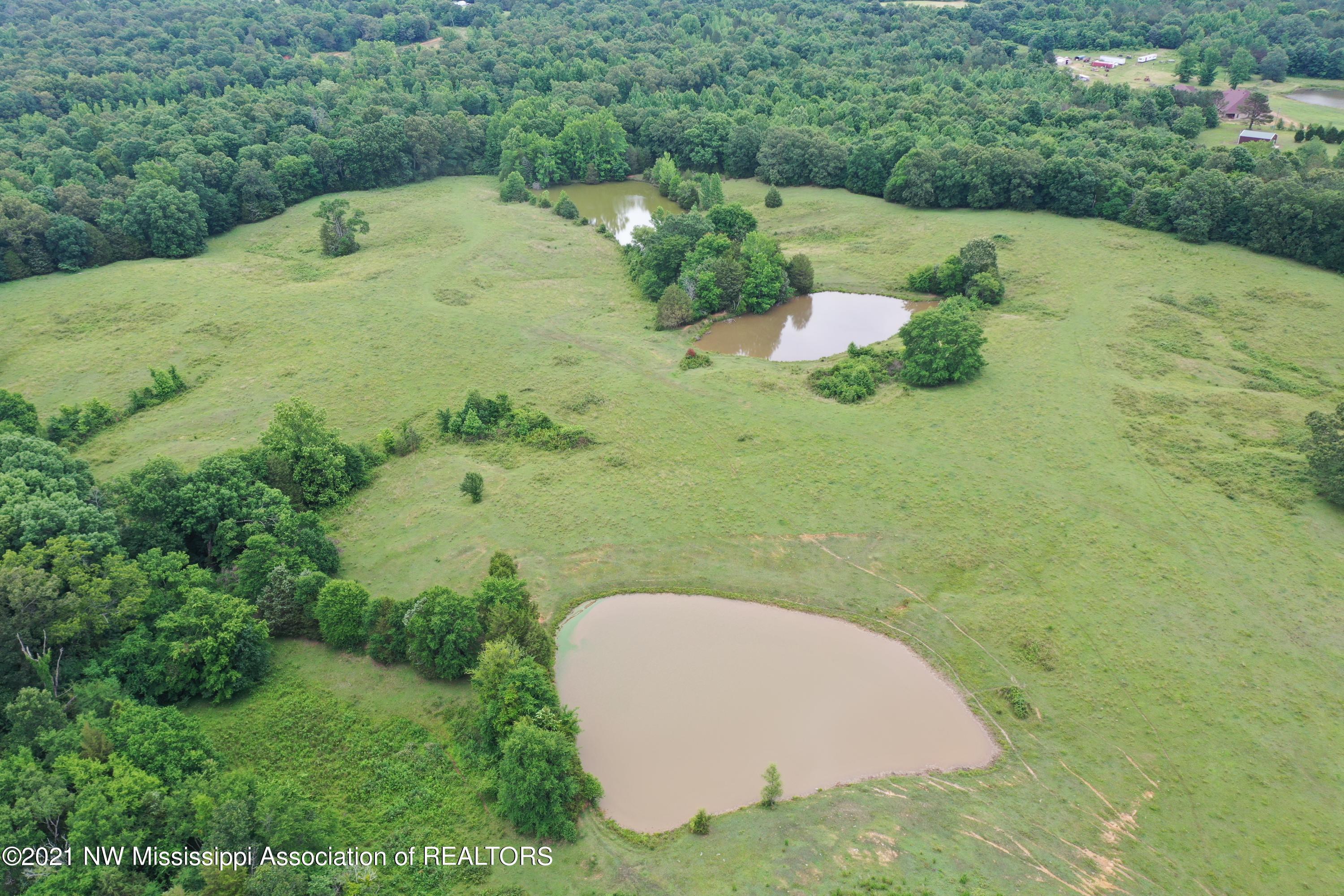 DJI_0363