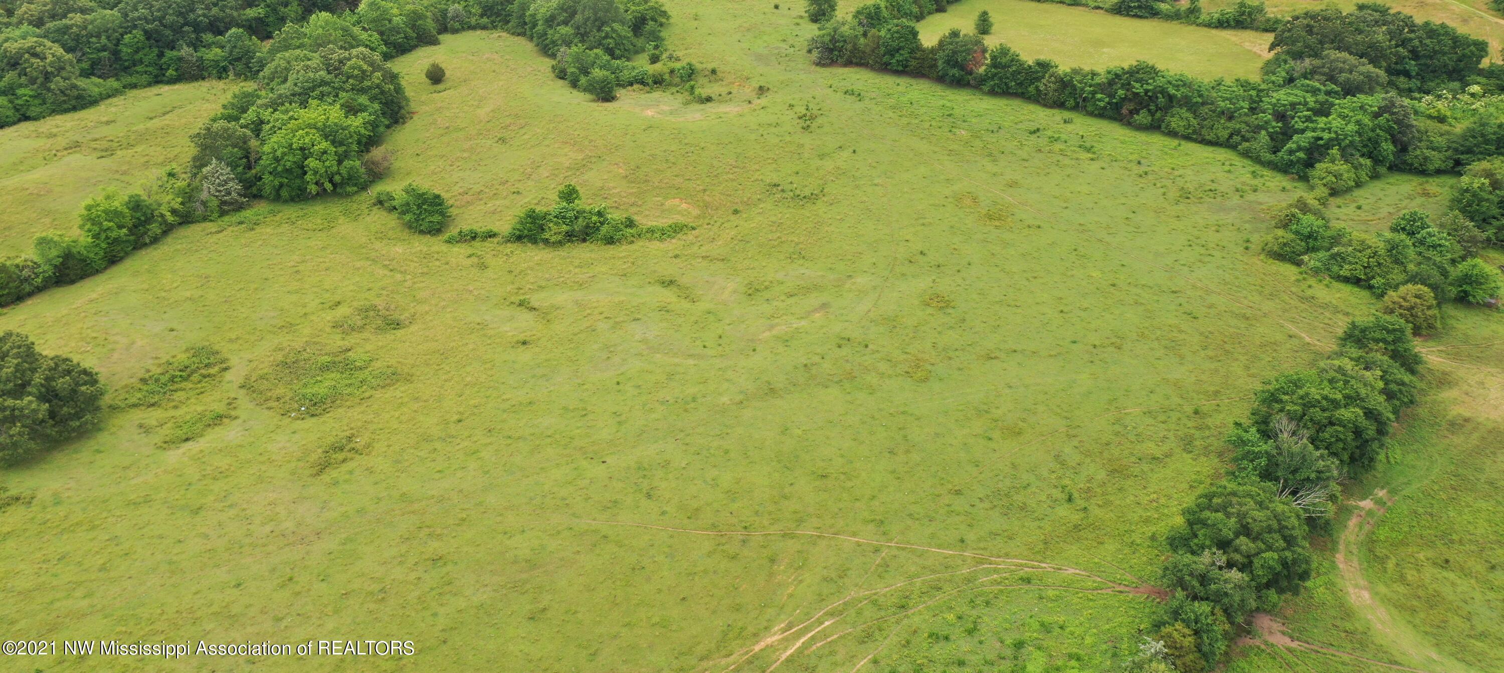 2 Watson Desoto Road Byhalia, MS 38611 - Photo 10 of 70 DJI_0366