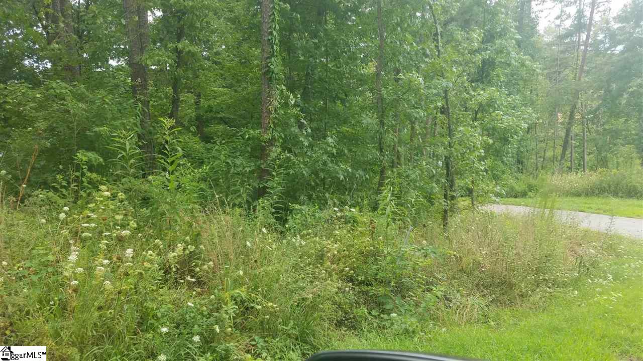 98 Peninsula Road West Union, SC 29696 - Photo 1 of 4 Gallery Image 1