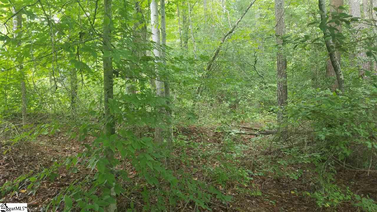 98 Peninsula Road West Union, SC 29696 - Photo 4 of 4 Gallery Image 4