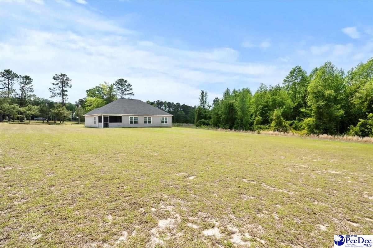309 Pocosin Road Latta, SC 29565 - Photo 26 of 26 Gallery Image 26