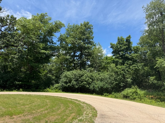 a view of a garden with a building in the background