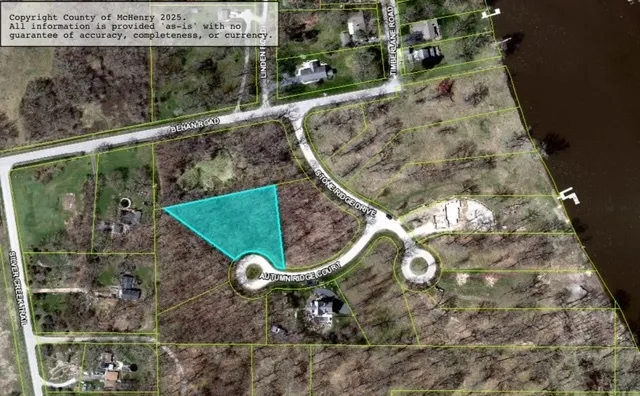 a bird sitting on top of a wooden floor