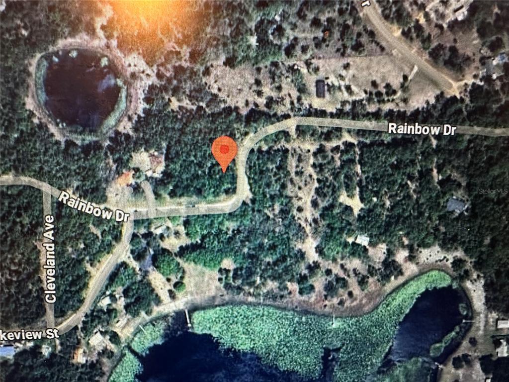 368 Rainbow Drive Hawthorne, FL 32640 - Photo 1 of 1 a view of a forest