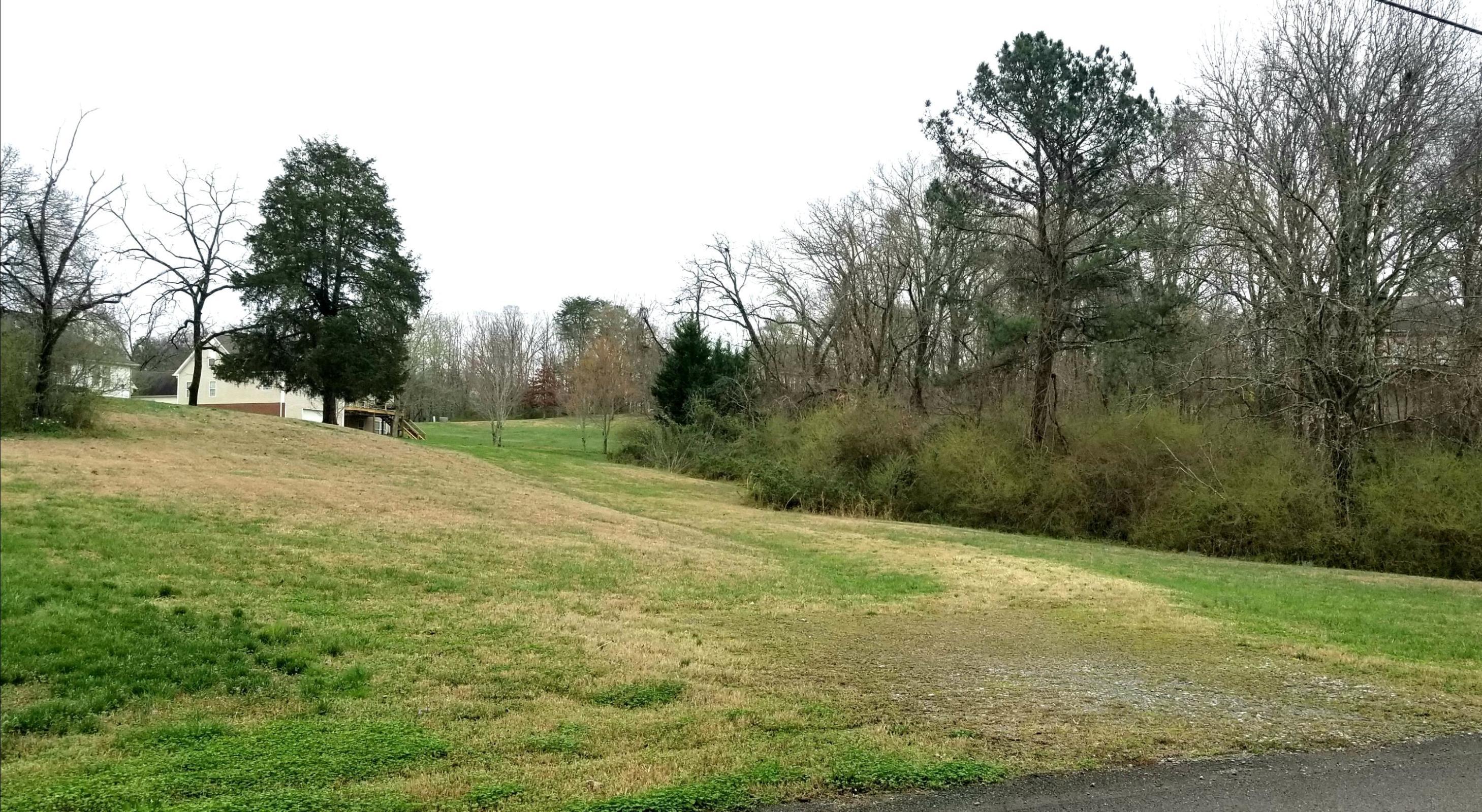 0 Arnold Road, Unit 6 Rock Spring, GA 30739 - Photo 3 of 3 20180226145801509259000000-o