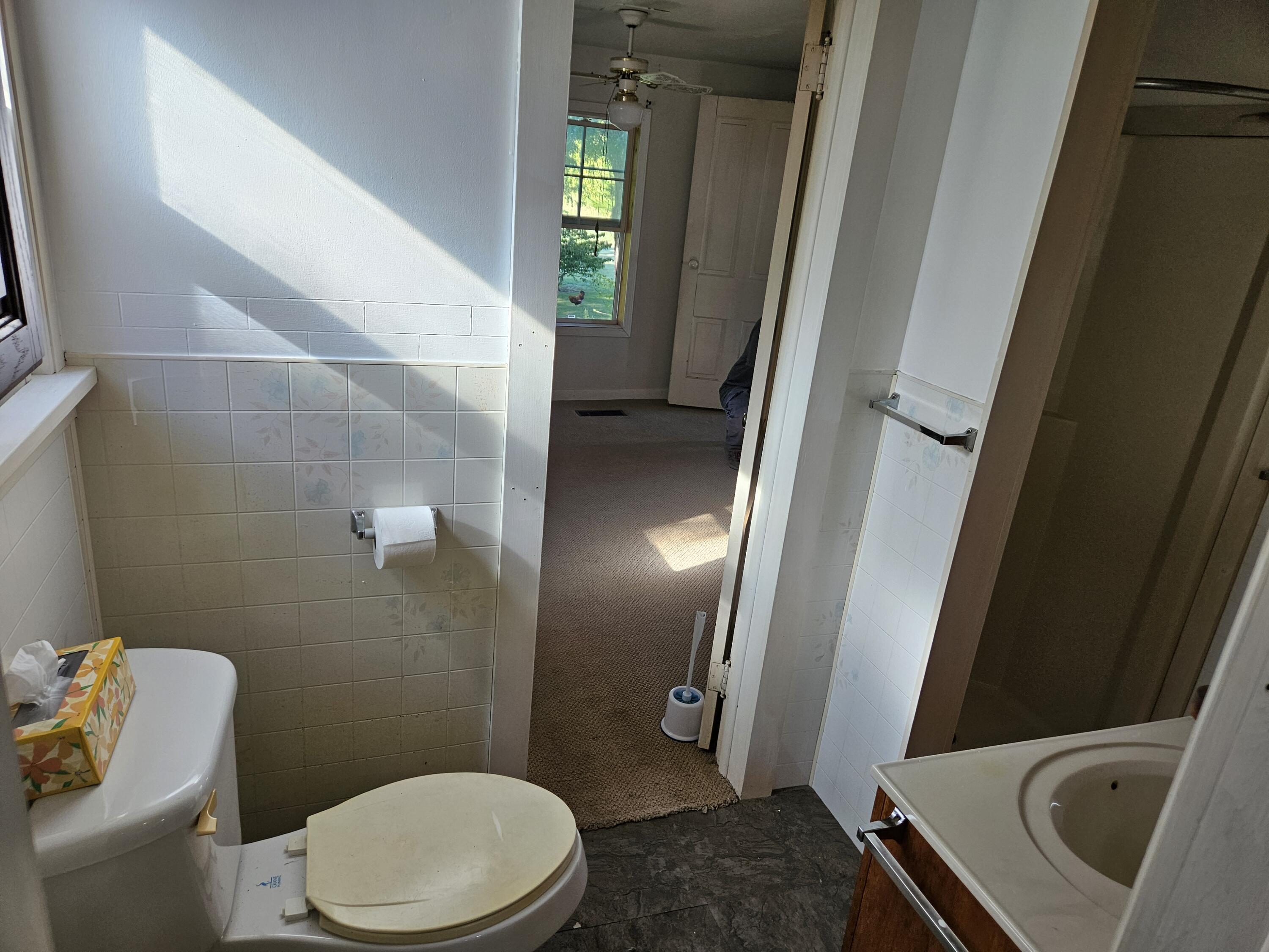 10900 South Meridian Road Hudson, MI 49247 - Photo 16 of 28 main floor full bath