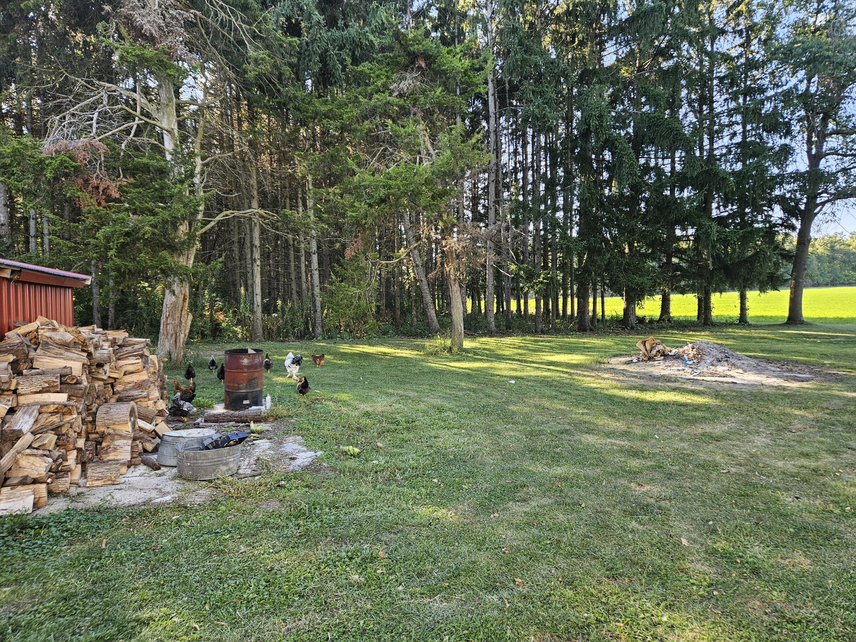 10900 South Meridian Road Hudson, MI 49247 - Photo 8 of 28 spacious yard