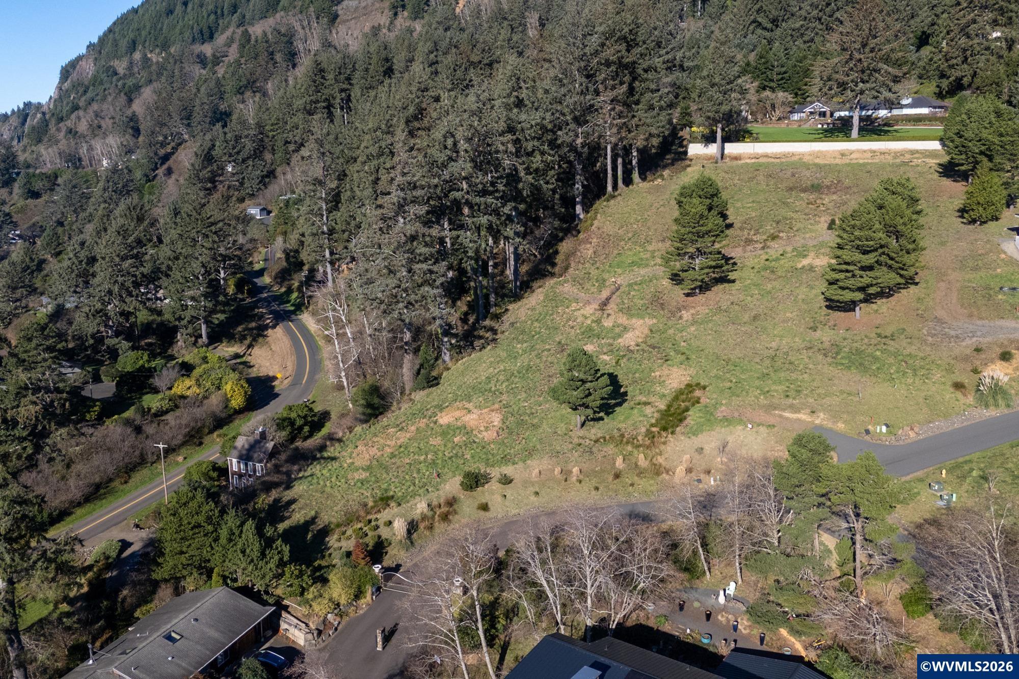 0 Vantage Road Nehalem, OR 97131 - Photo 6 of 15