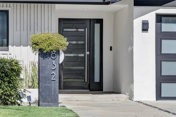 a potted plant in front of a door