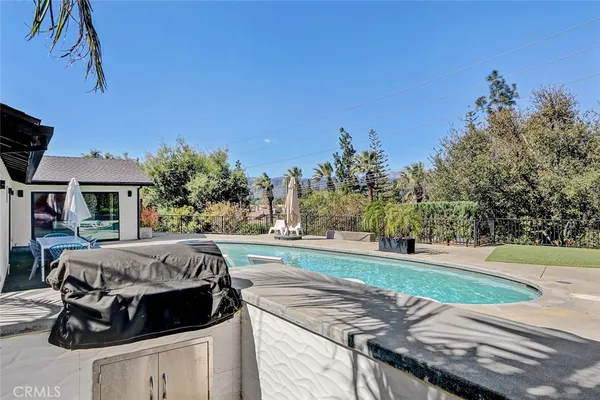 a view of a backyard with couches plants and large trees