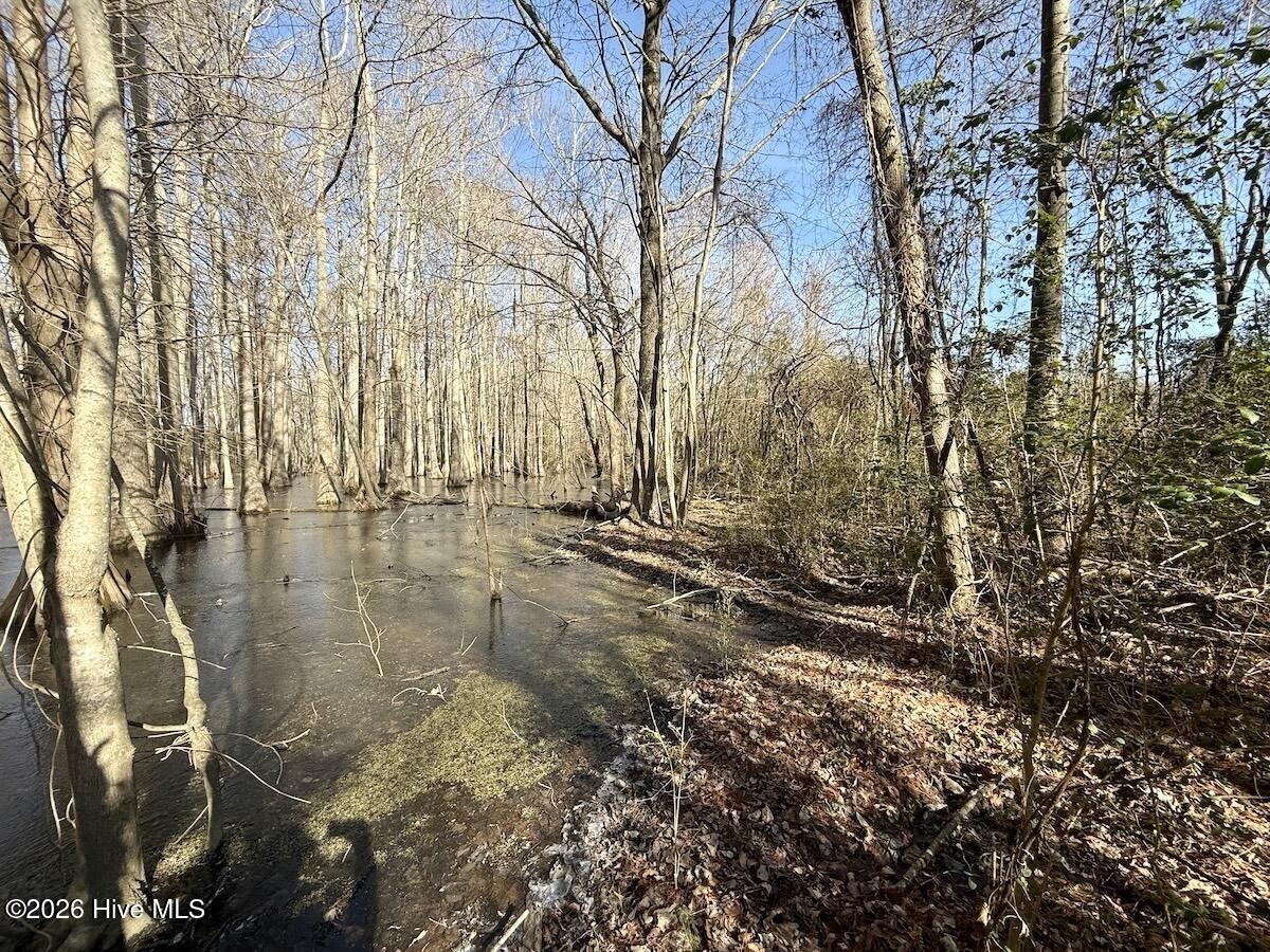 431 Icaria Road Tyner, NC 27980 - Photo 43 of 55 44